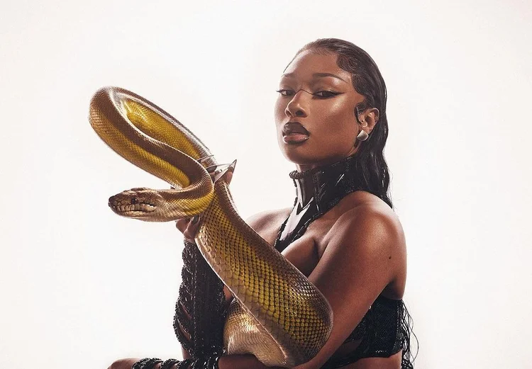 Megan Thee Stallion Combines with SPIRITBOX for Hardcore “Cobra (Rock