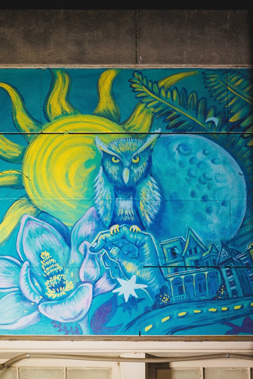 NM1_4914.jpg