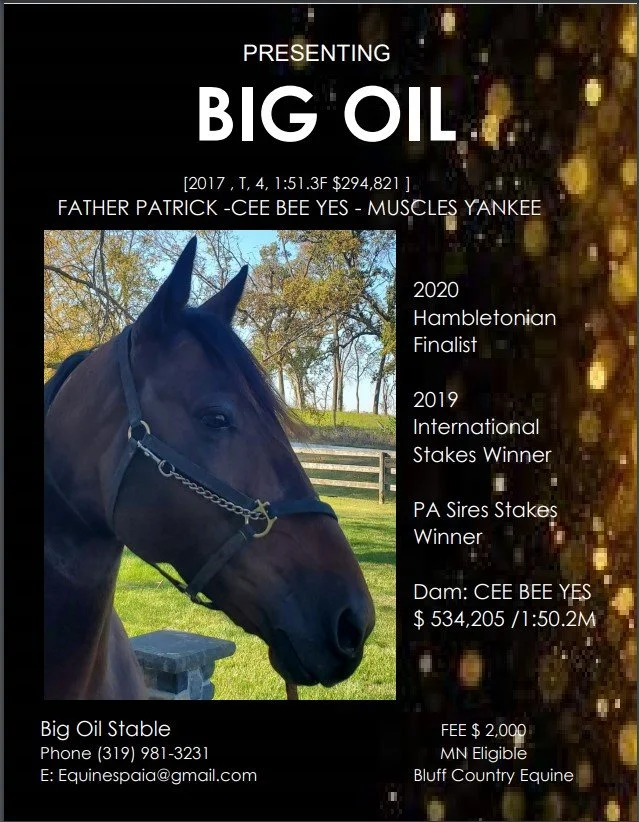 Big Oil — Bluff Country Equine