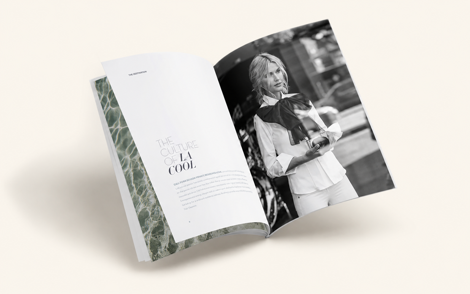 fsla_brochure_spread_2_fbf6ee.png