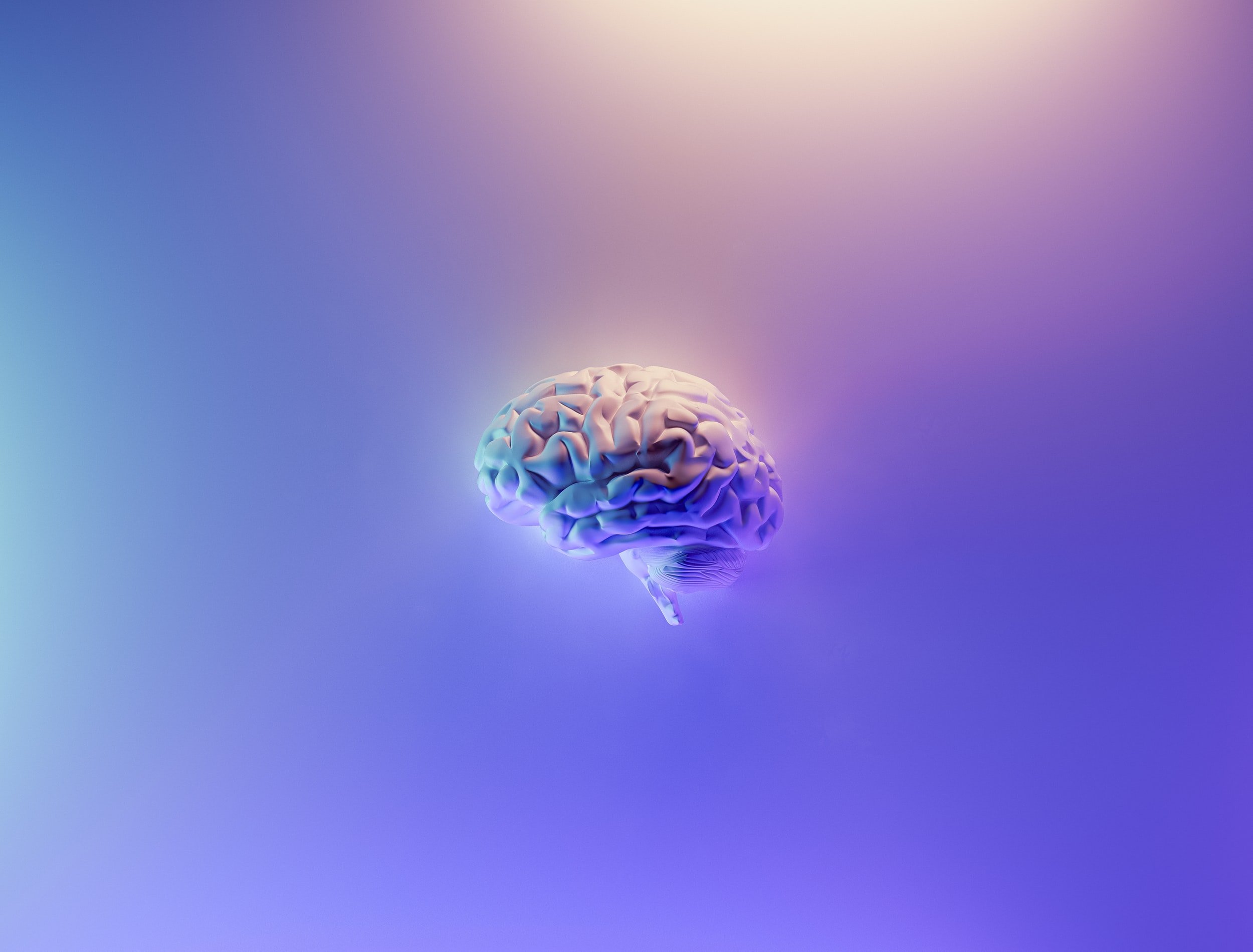 Cognitive Biases Can Help and Hurt