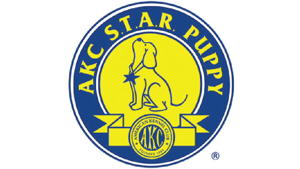 aka star puppy logo