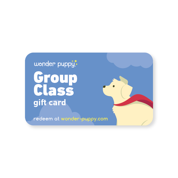 GroupClassGiftCard.png