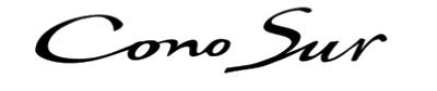 Cono Sur 1.png