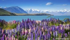 Australia/New Zealand