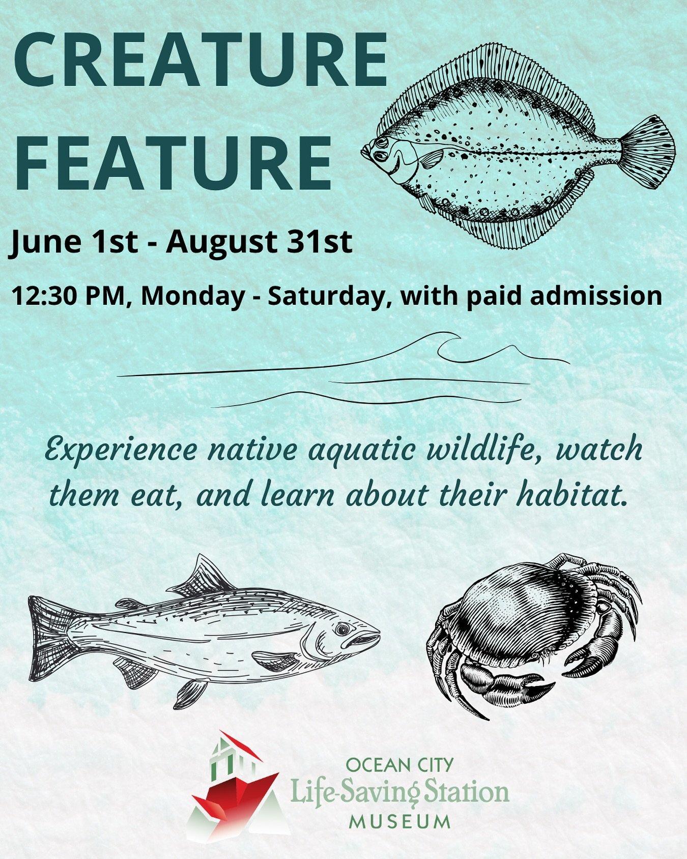 🦀🐟 Dive into discovery at Creature Feature!

Watch native aquatic wildlife, learn about their habitats, and enjoy a close-up experience &mdash; weekdays at 12:30 PM all summer long at the Ocean City Life-Saving Station Museum! 🌊🐠

#OceanCityMD #D