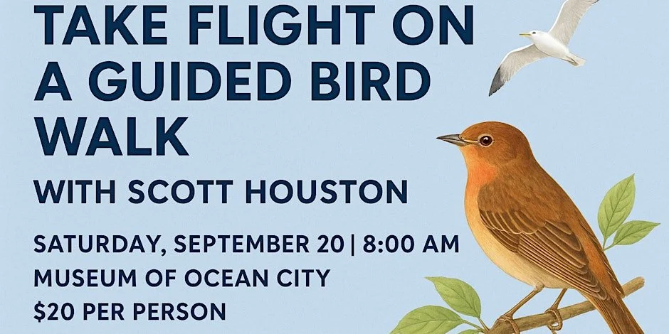 Bird Watching with Scott Houston