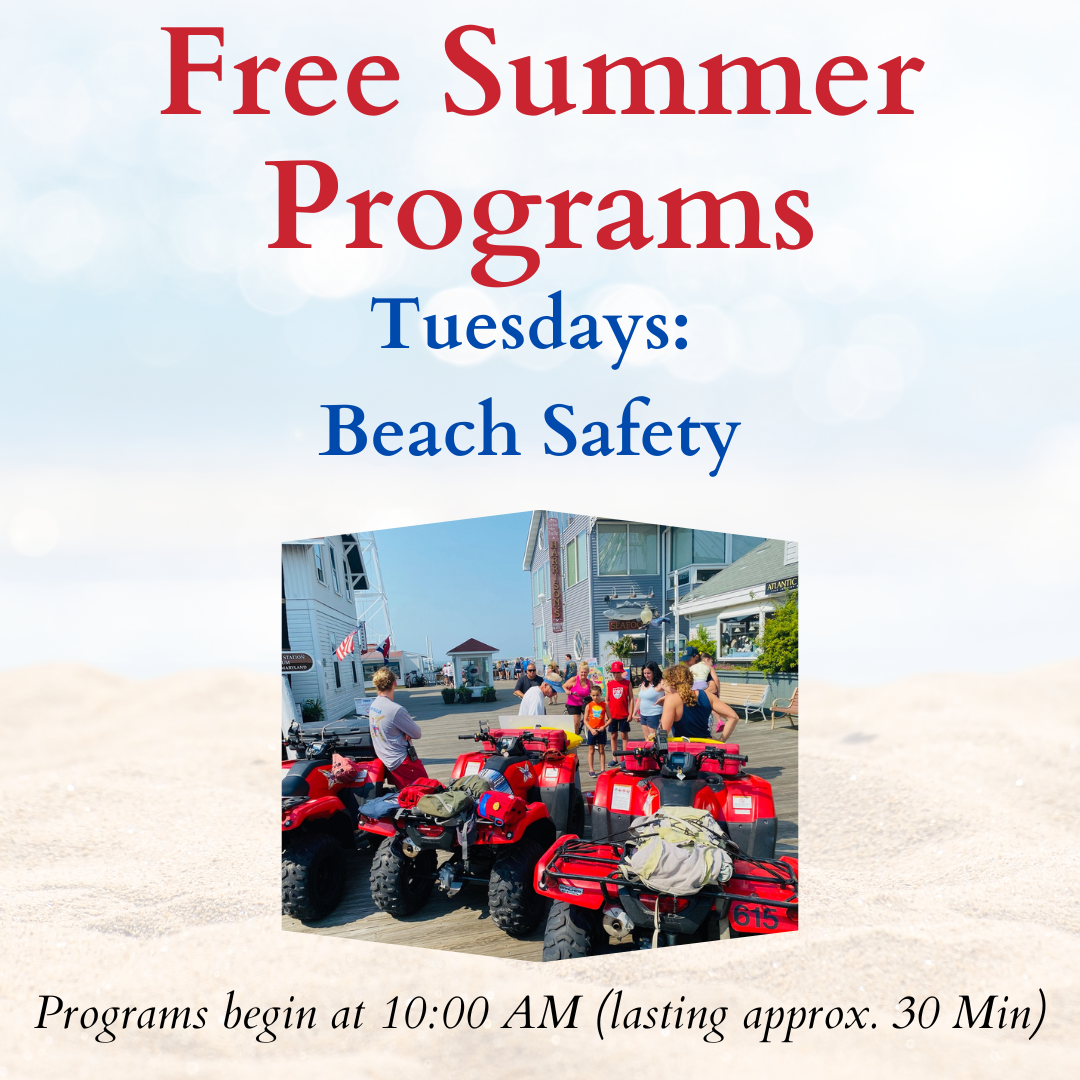 Beach Patrol Beach Safety