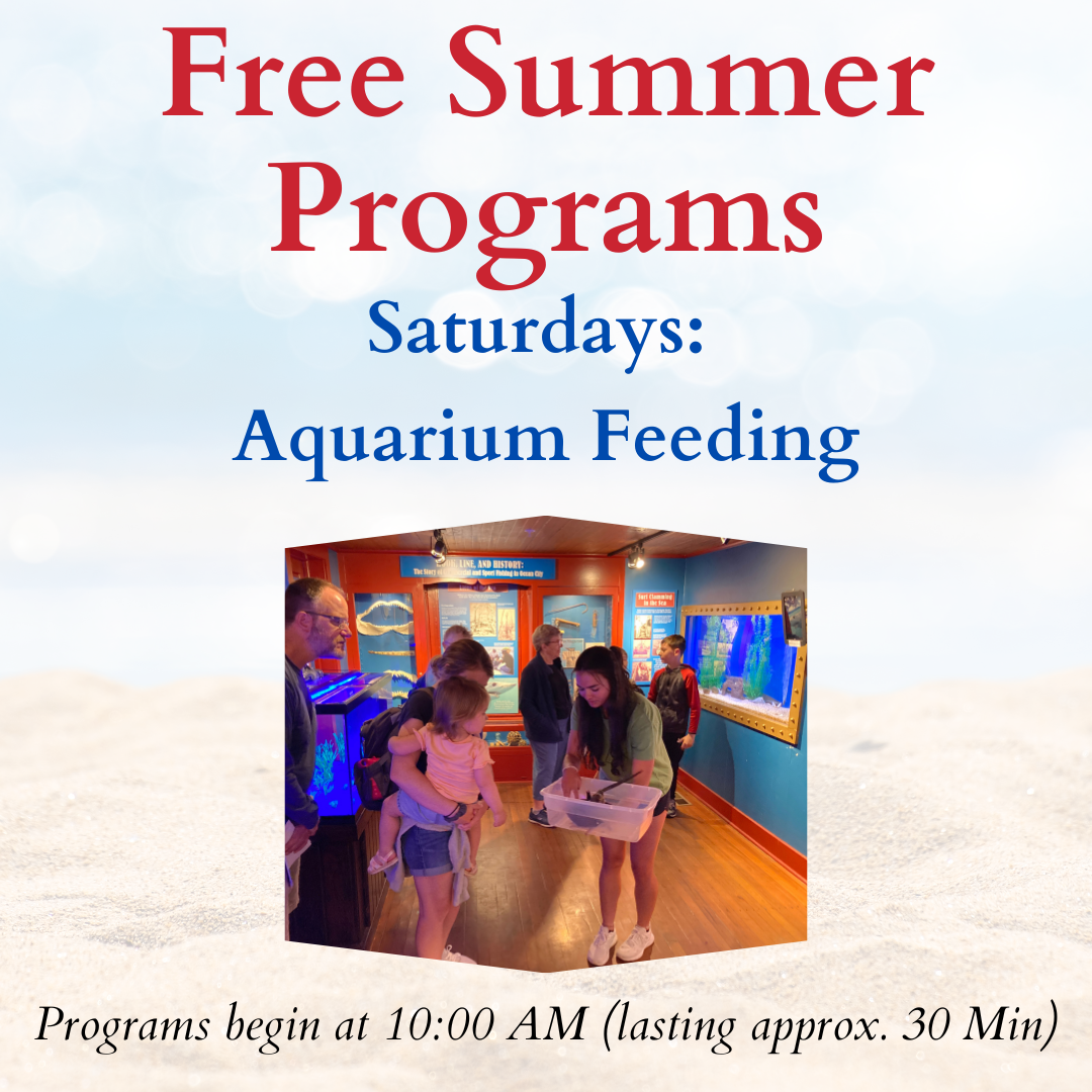 Aquarium Feeding Program