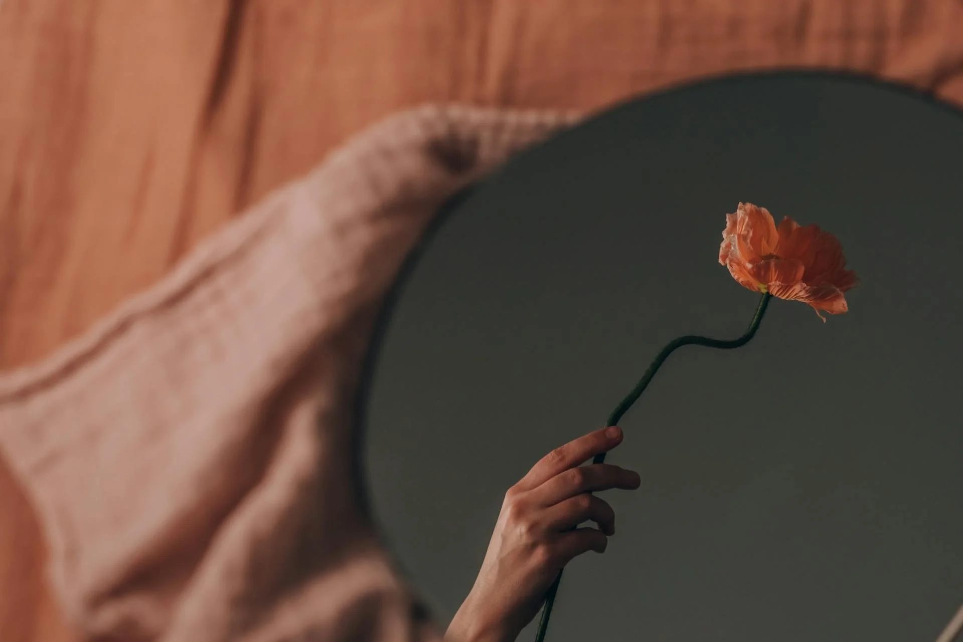 Hand holding a single orange flower reflected in a mirror, symbolizing self-reflection and emotional awareness in therapy