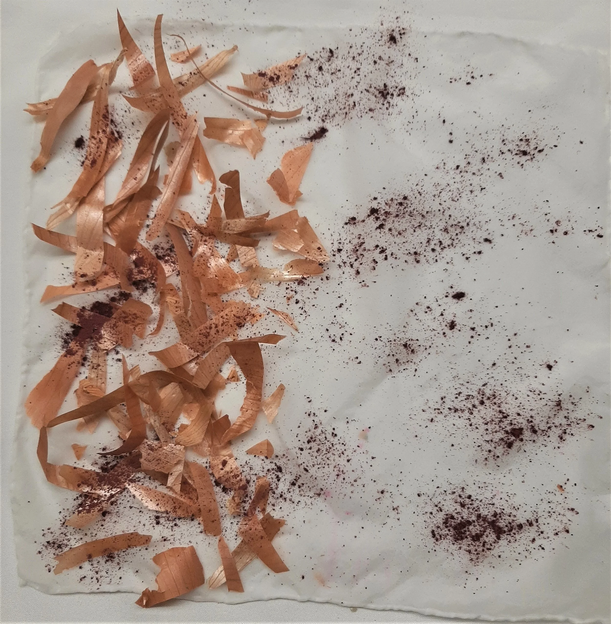 onion, madder root eco print silk (2024_02_25 00_31_47 UTC) - Copy.jpg