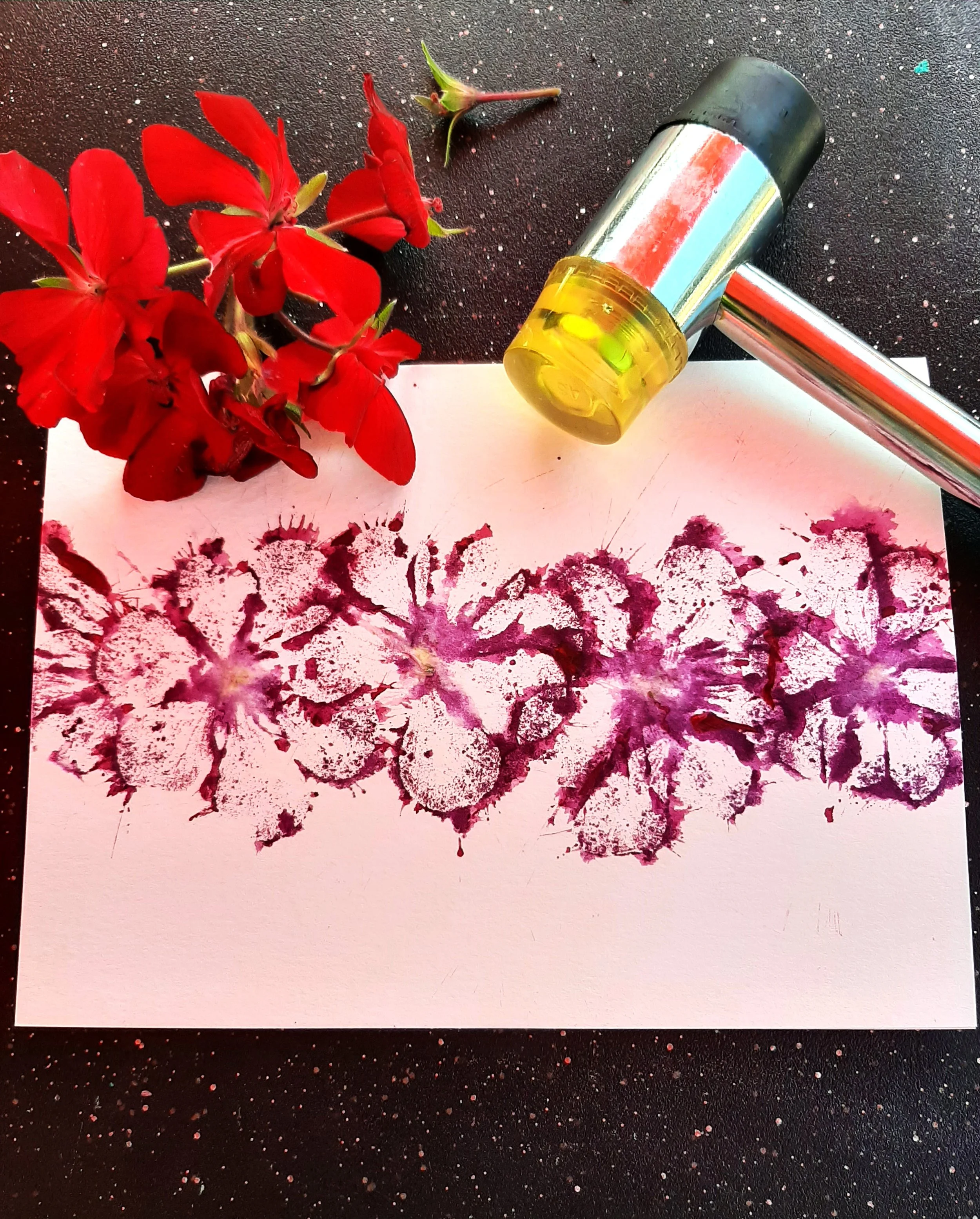 pounded geraniums (2024_02_25 00_31_47 UTC).jpg