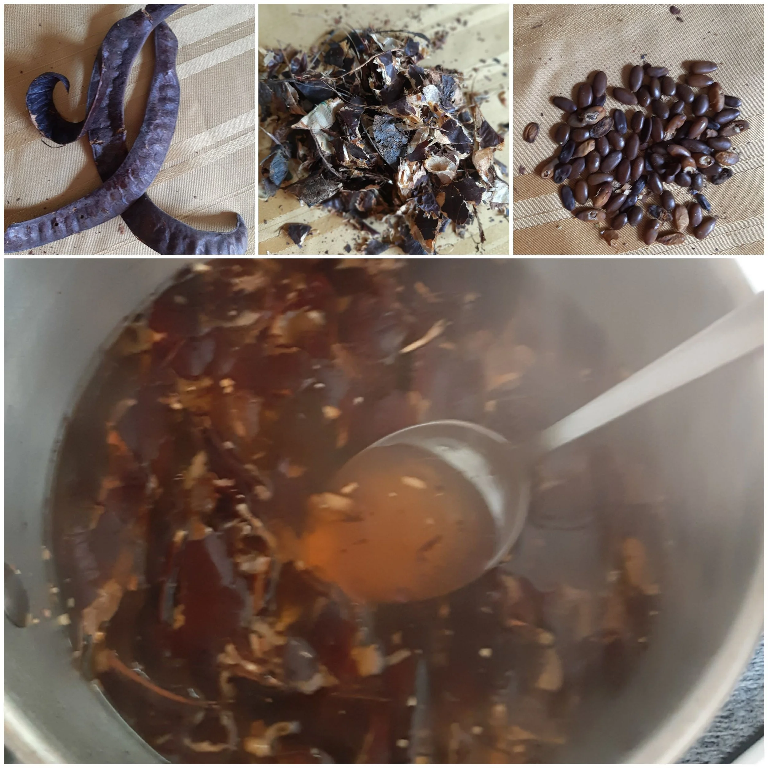 seed pod ink (2024_02_25 00_31_47 UTC).jpg