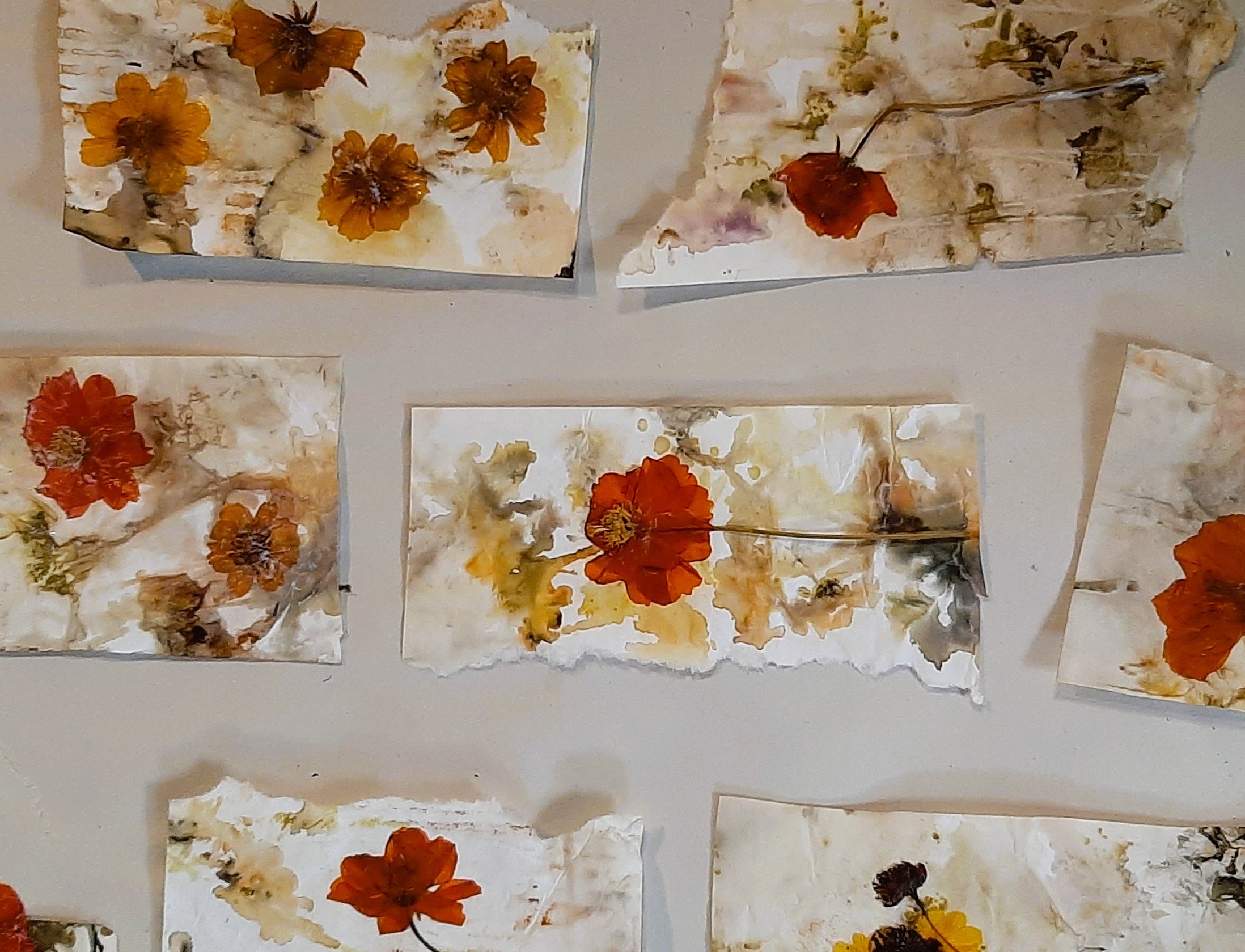 cosmos eco print collage - Copy.jpg