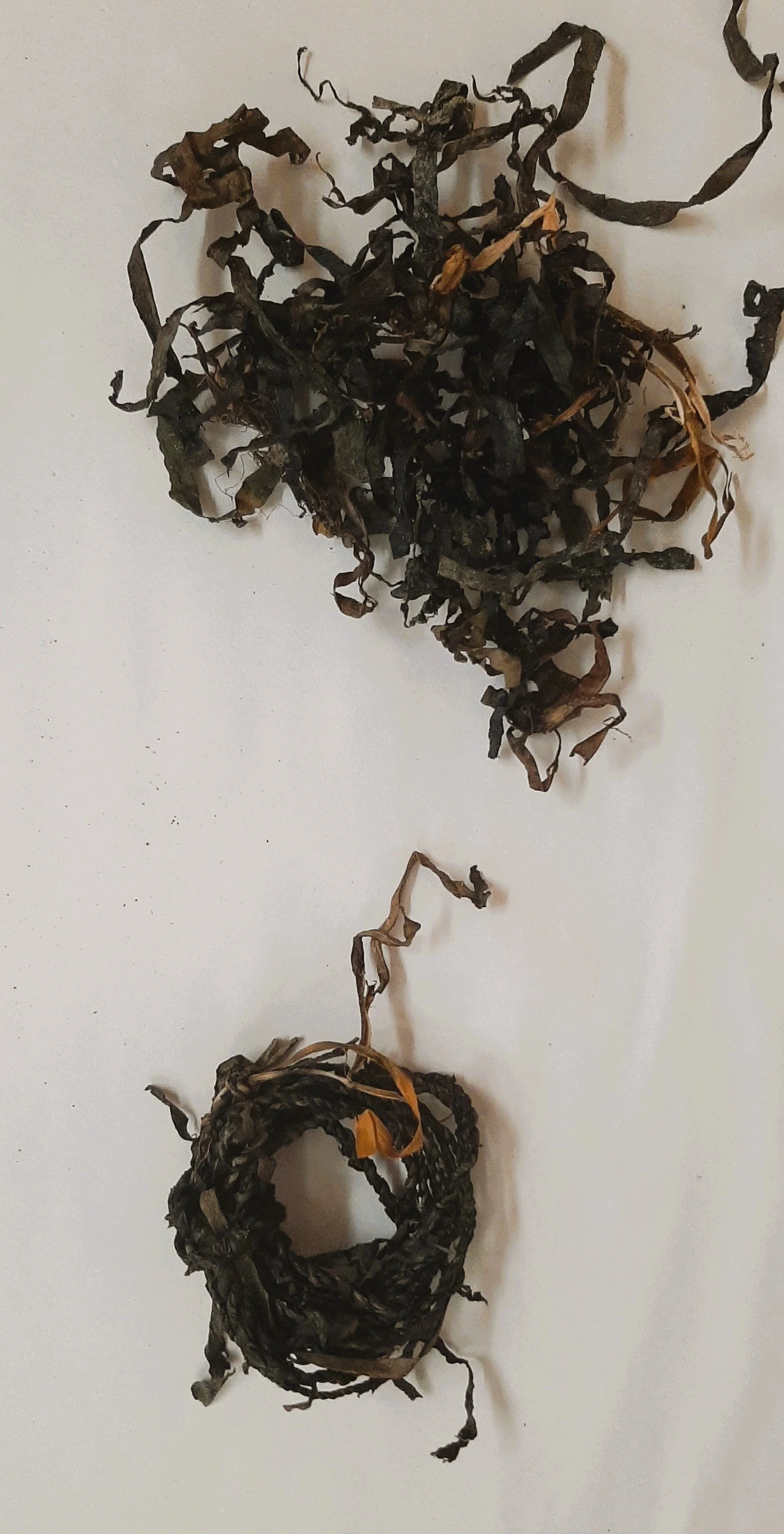 seagrass cordage.jpg