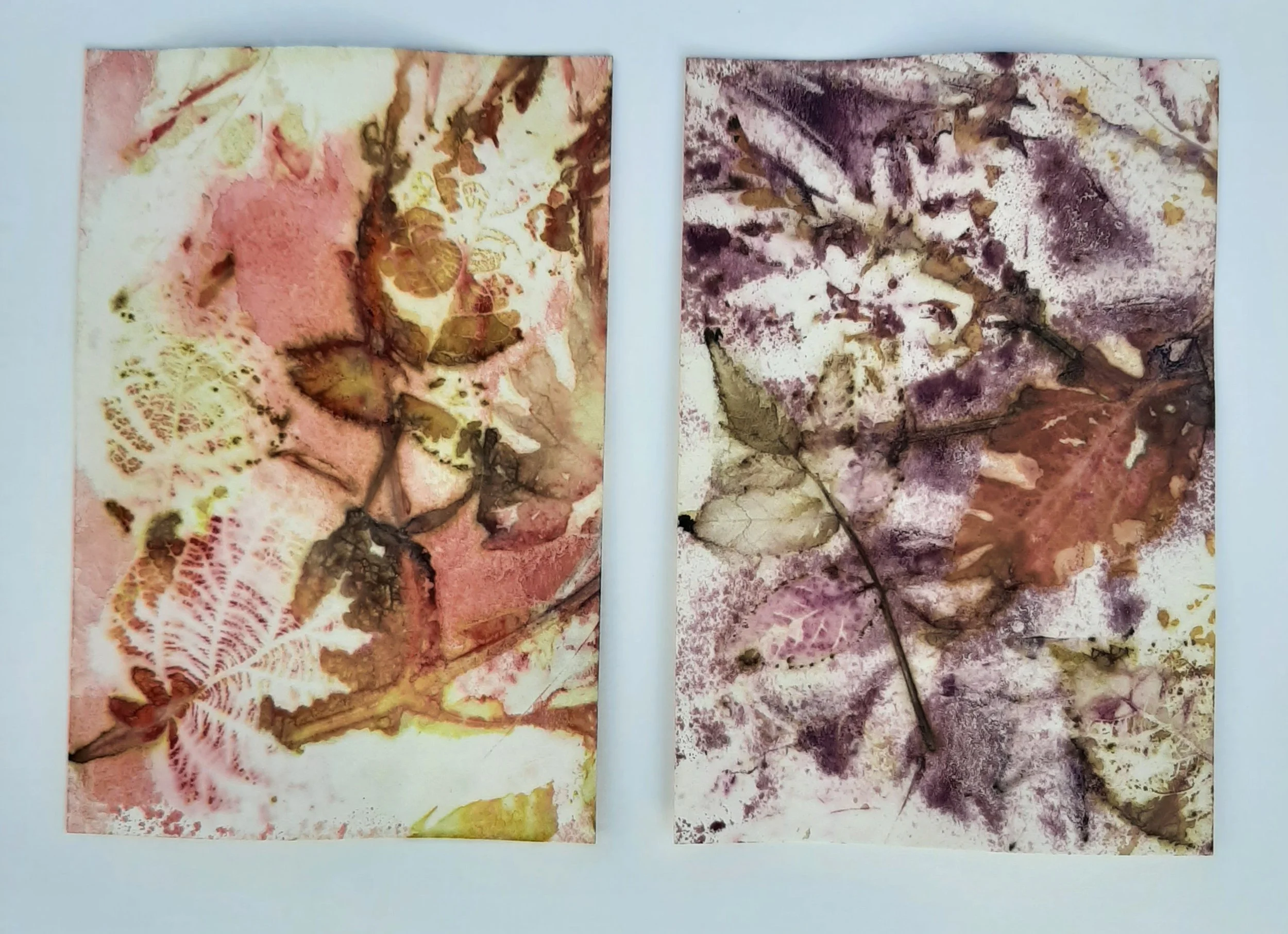 eco print duo (2024_02_25 00_31_47 UTC).jpg
