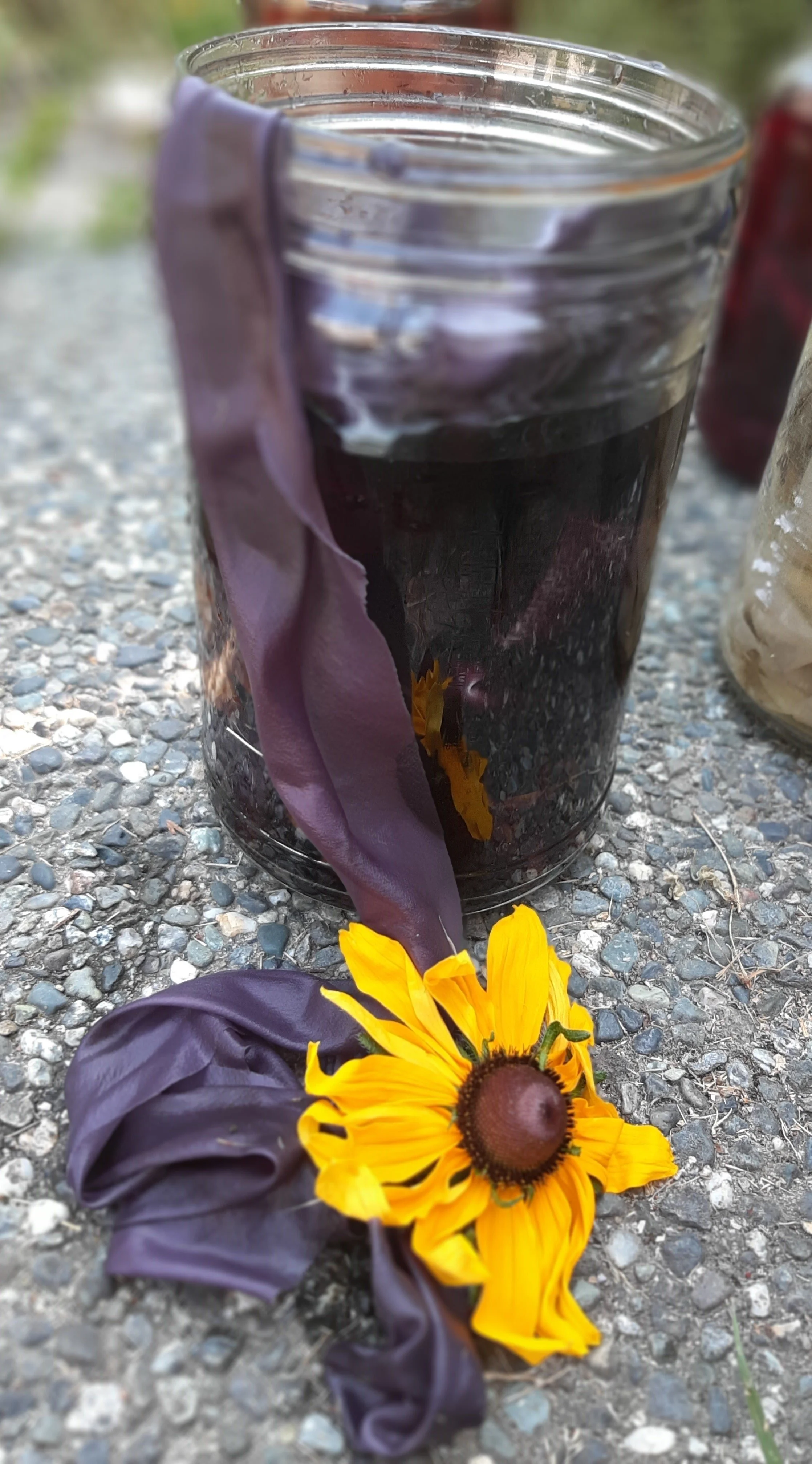 WEDNESDAY solar dye.jpg