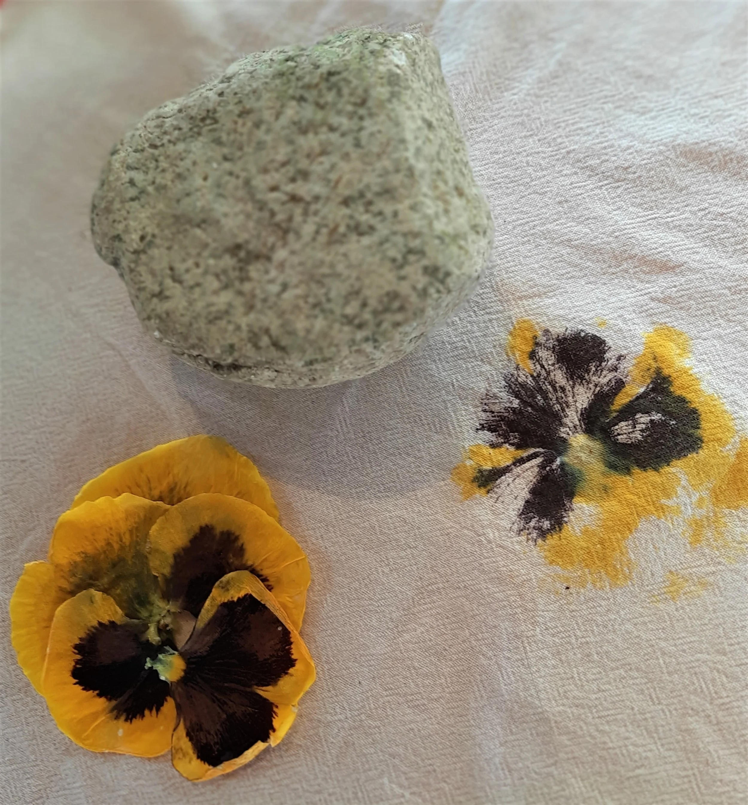 flower pounding pansy (2024_02_25 00_31_47 UTC).jpg