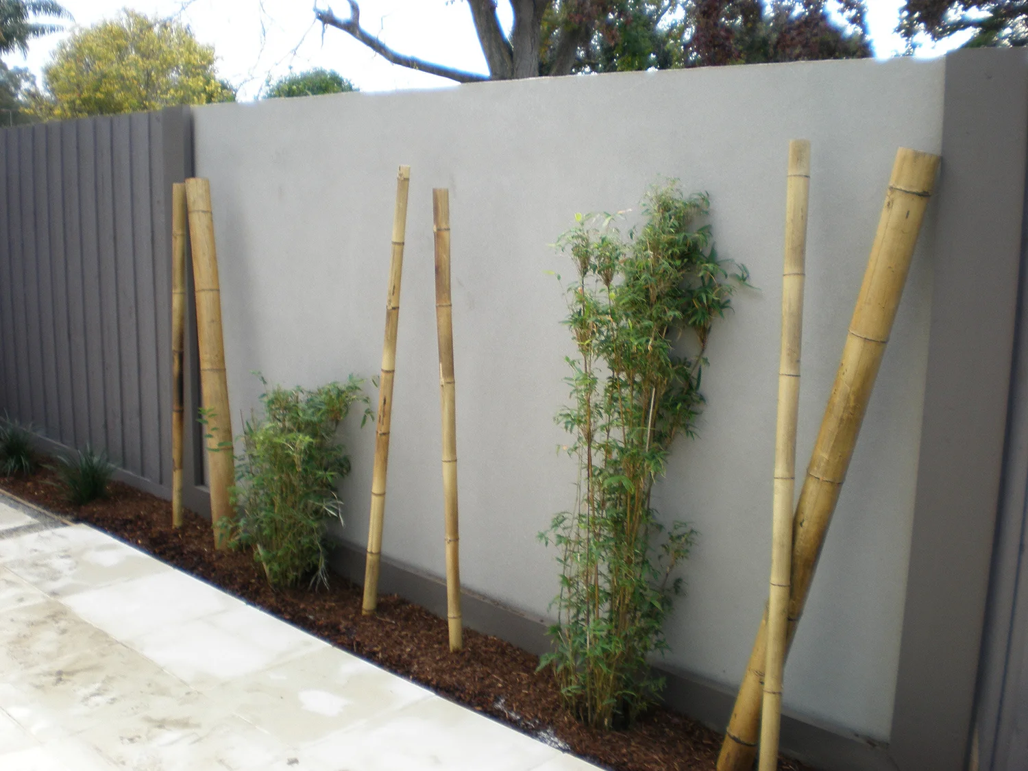 Modern timber slat feature wall with decorative bamboo landscaping