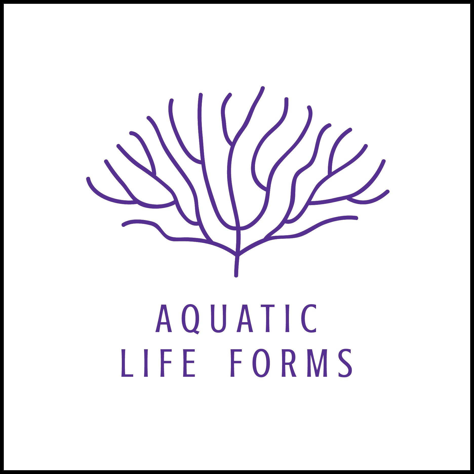 Logos_0010_Artboard+3+copy.png.jpg