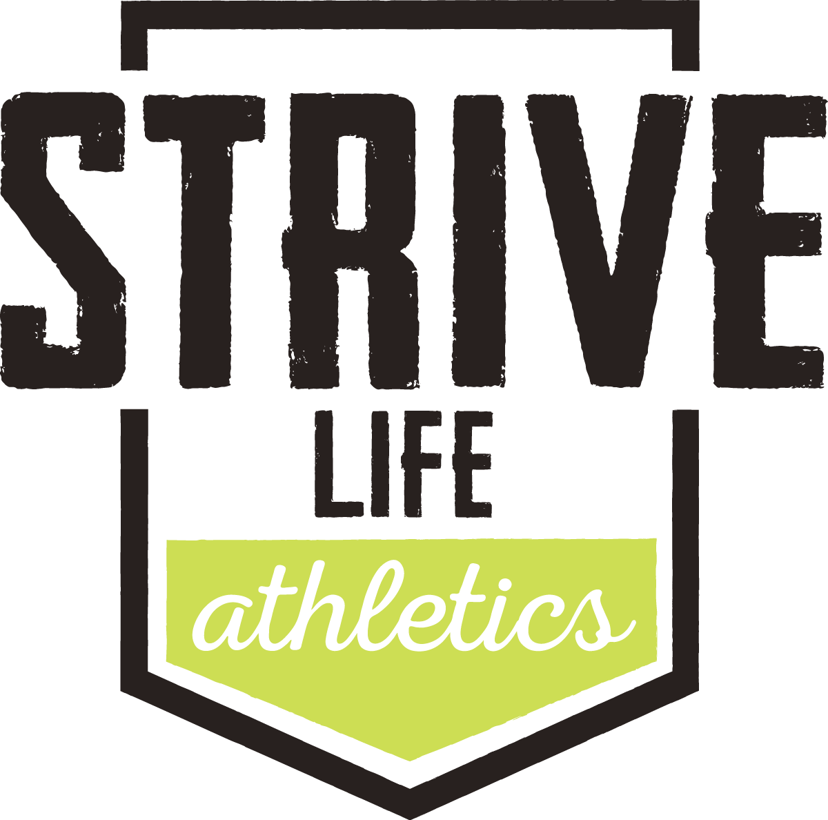 Strive Life 