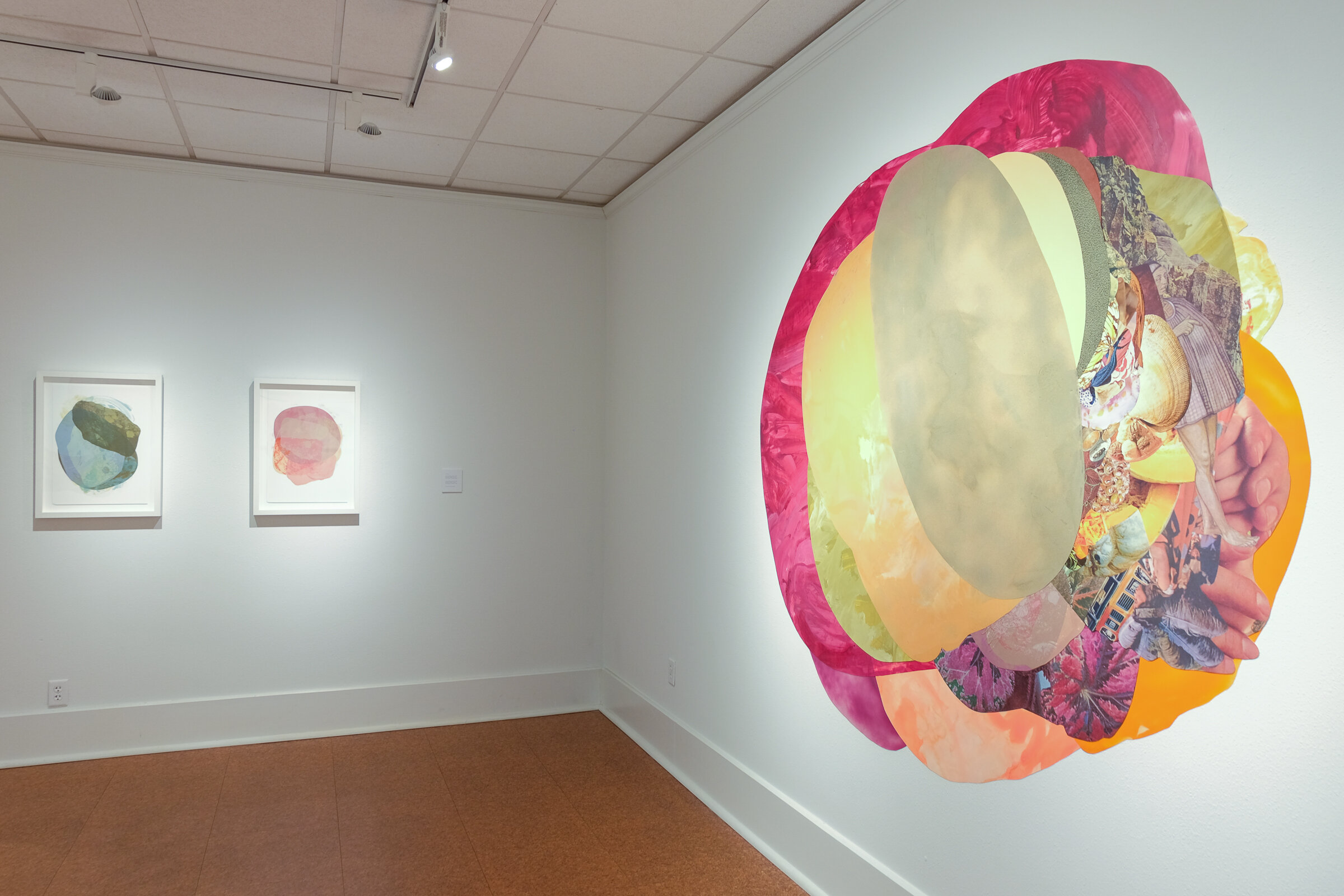 Installation shot from "Rooted by invisible means", May 30 – August 16, 2020 