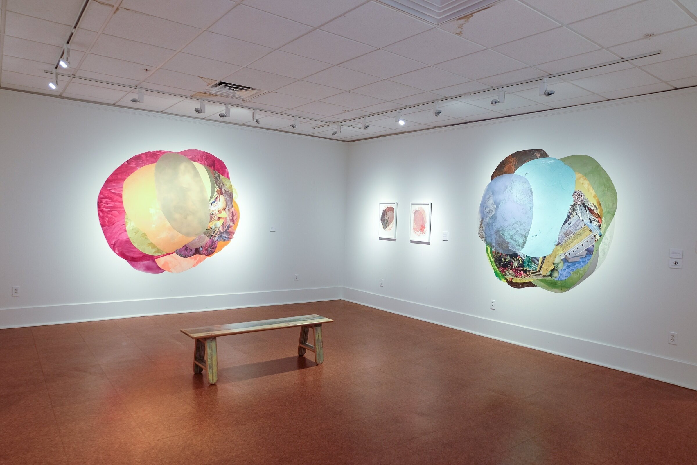 Installation shot from "Rooted by invisible means", May 30 – August 16, 2020 