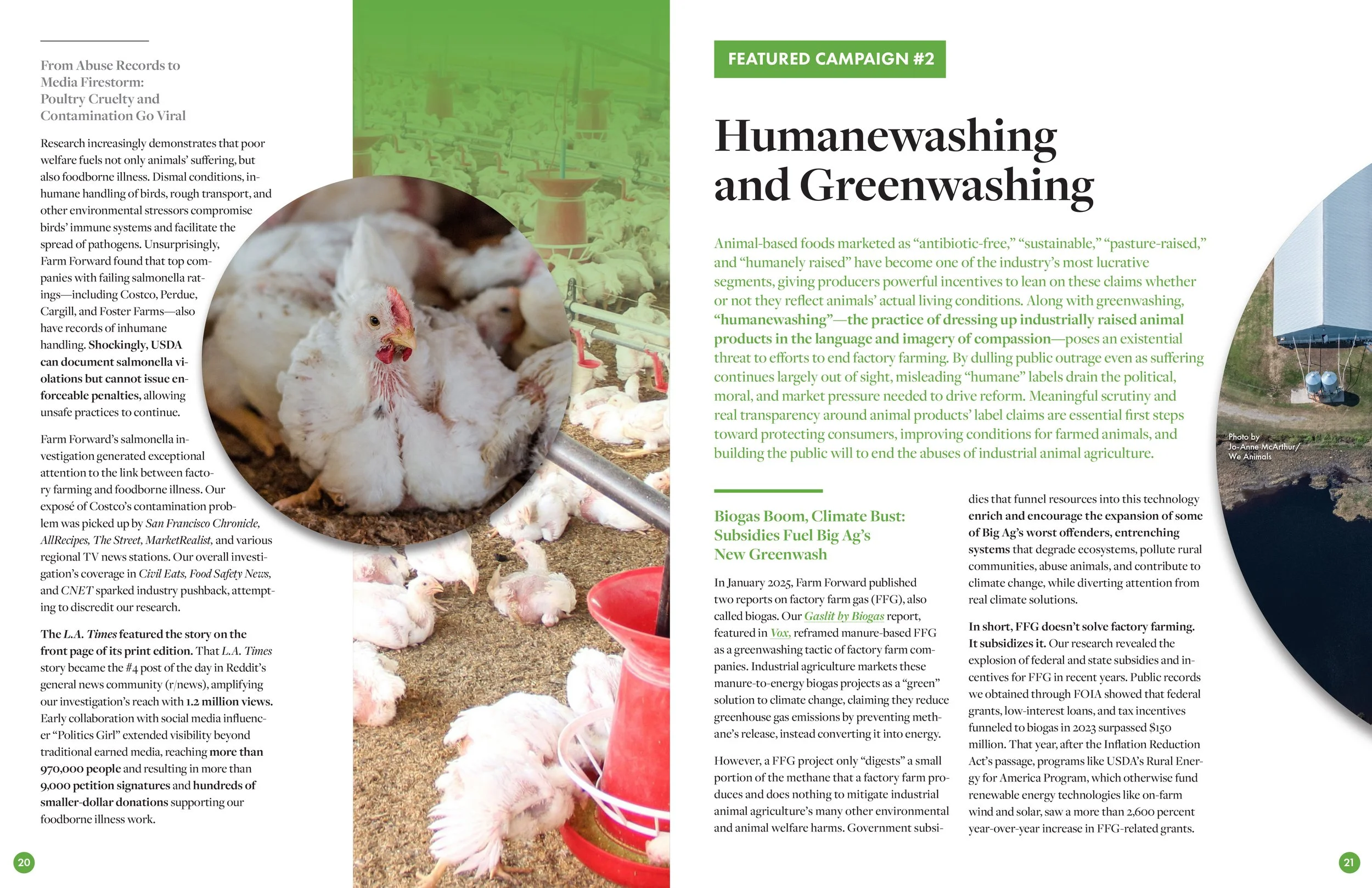 Farm Forward 2025 Annual Report Featured Campaign 4