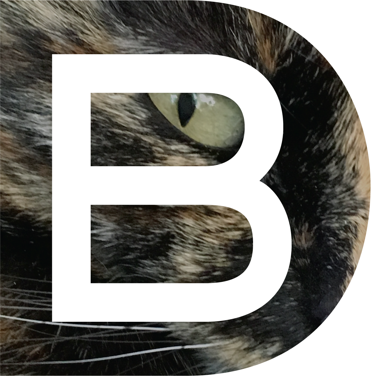 Bonfilio Design