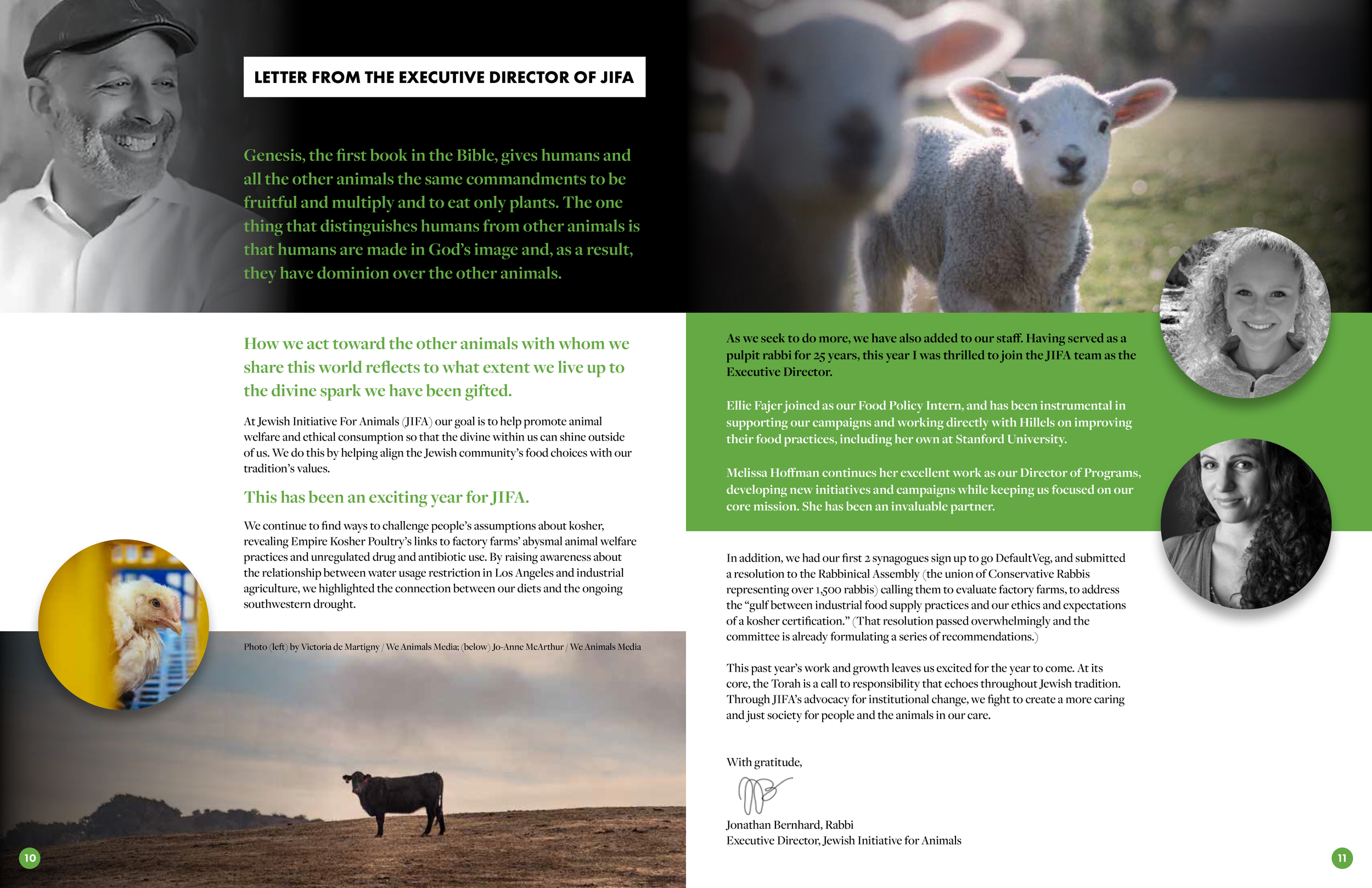 Annual Report Design Farm Forward