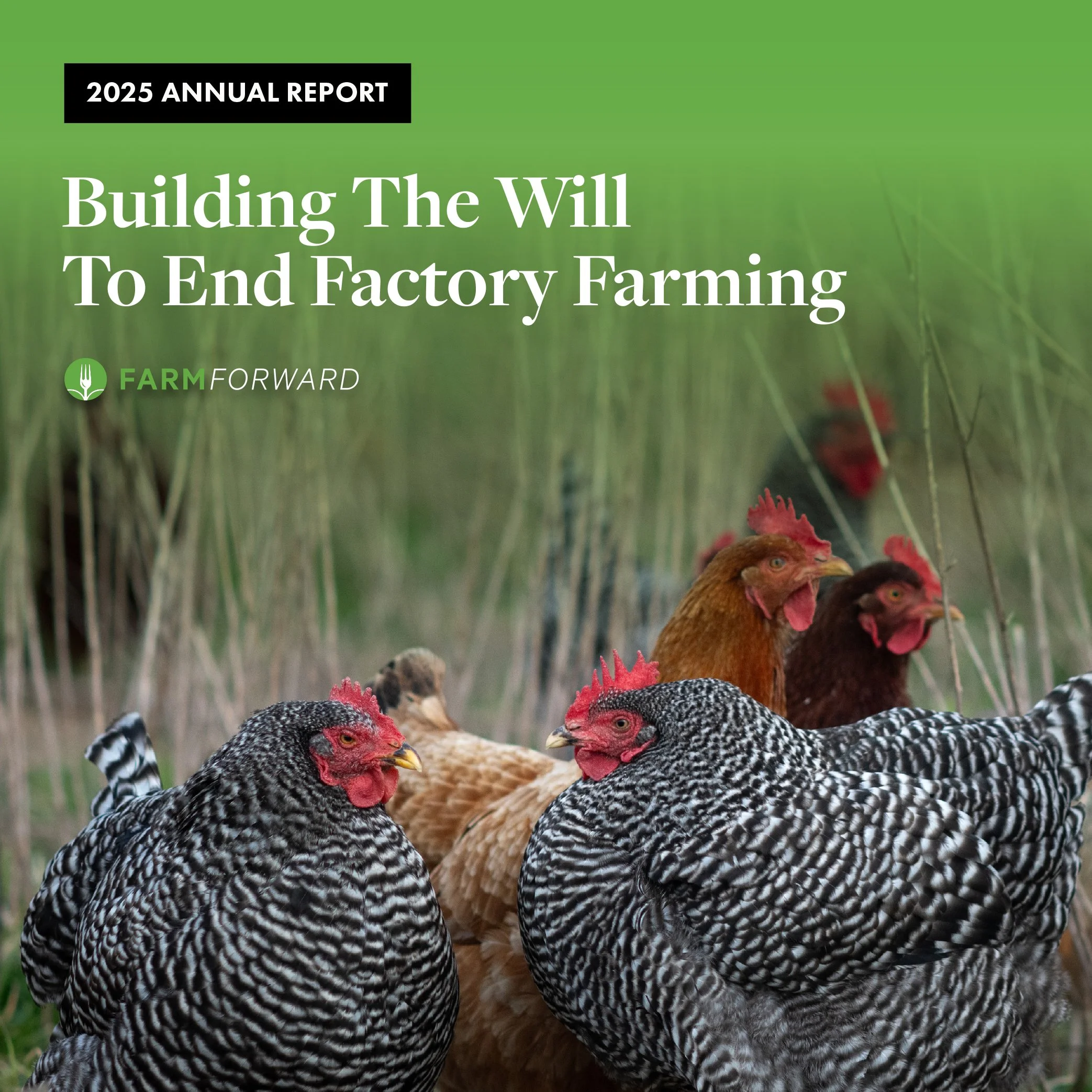 Farm Forward 2025 Annual Report