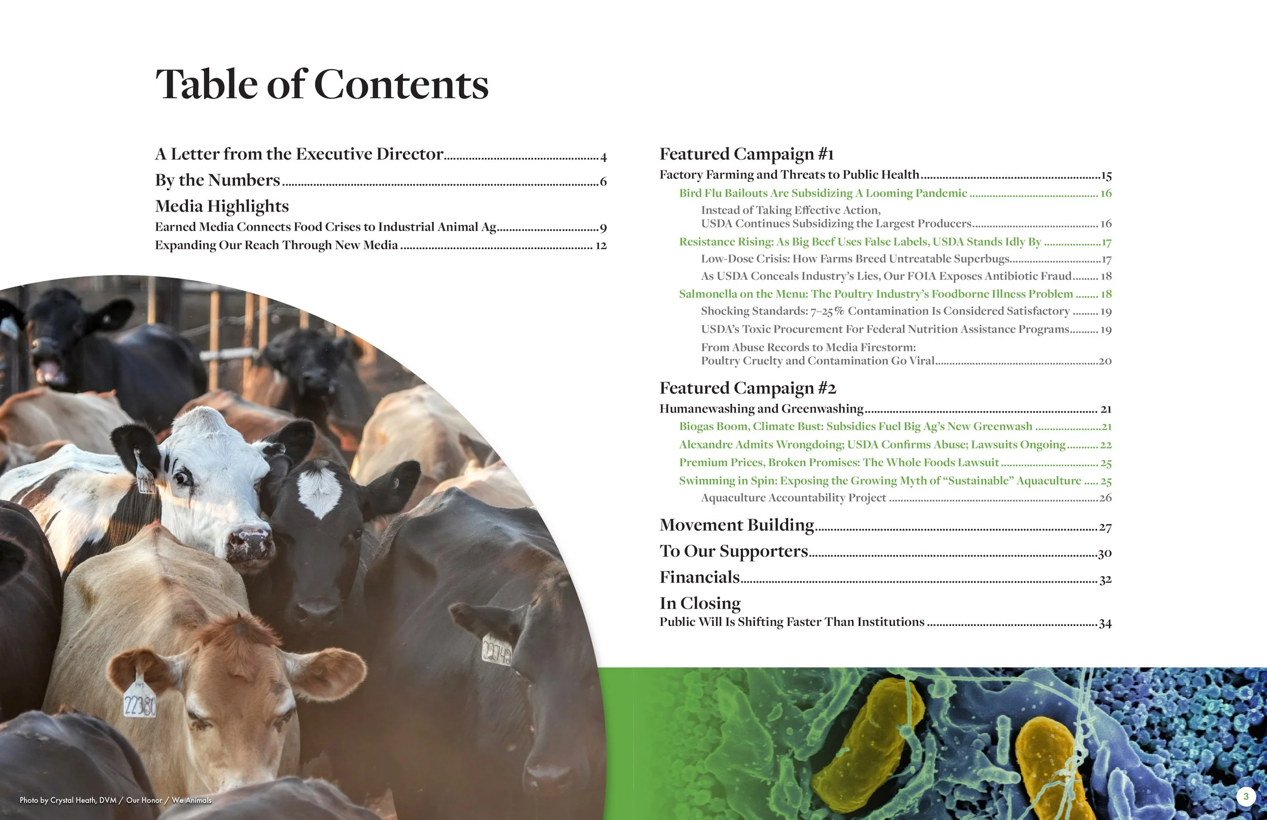 Farm Forward 2025 Annual Report Table of Contents