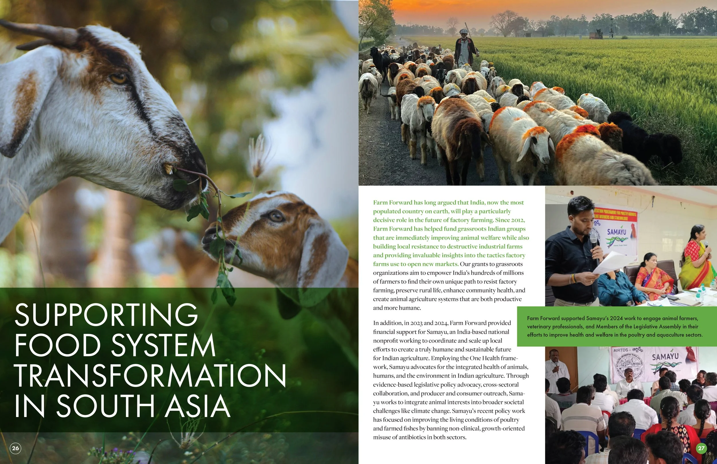 Farm Forward 2023-24 Annual Report Food System Transformation Abroad