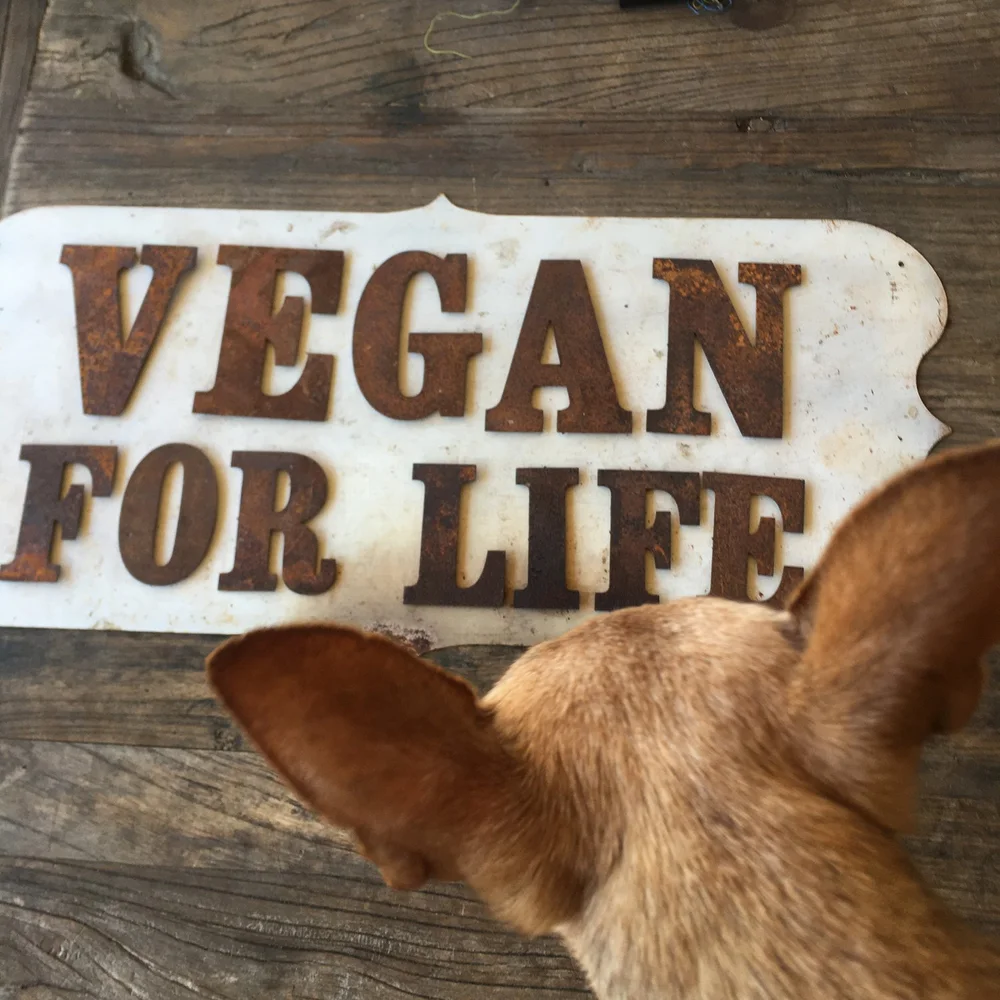 Vegan Graphic Design A CrueltyFree Business — Bonfilio Design