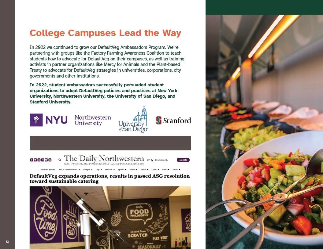 Page from 2022 Annual Report for Better Food Foundation with Salad bowls with colorful vegetables on a buffet table.