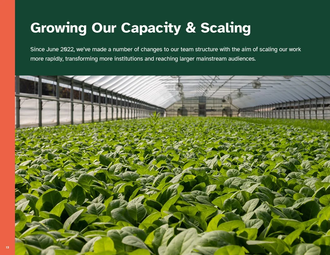 Page from 2022 Annual Report for Better Food Foundation with Greenhouse filled with lush green plants and overhead lighting for growth