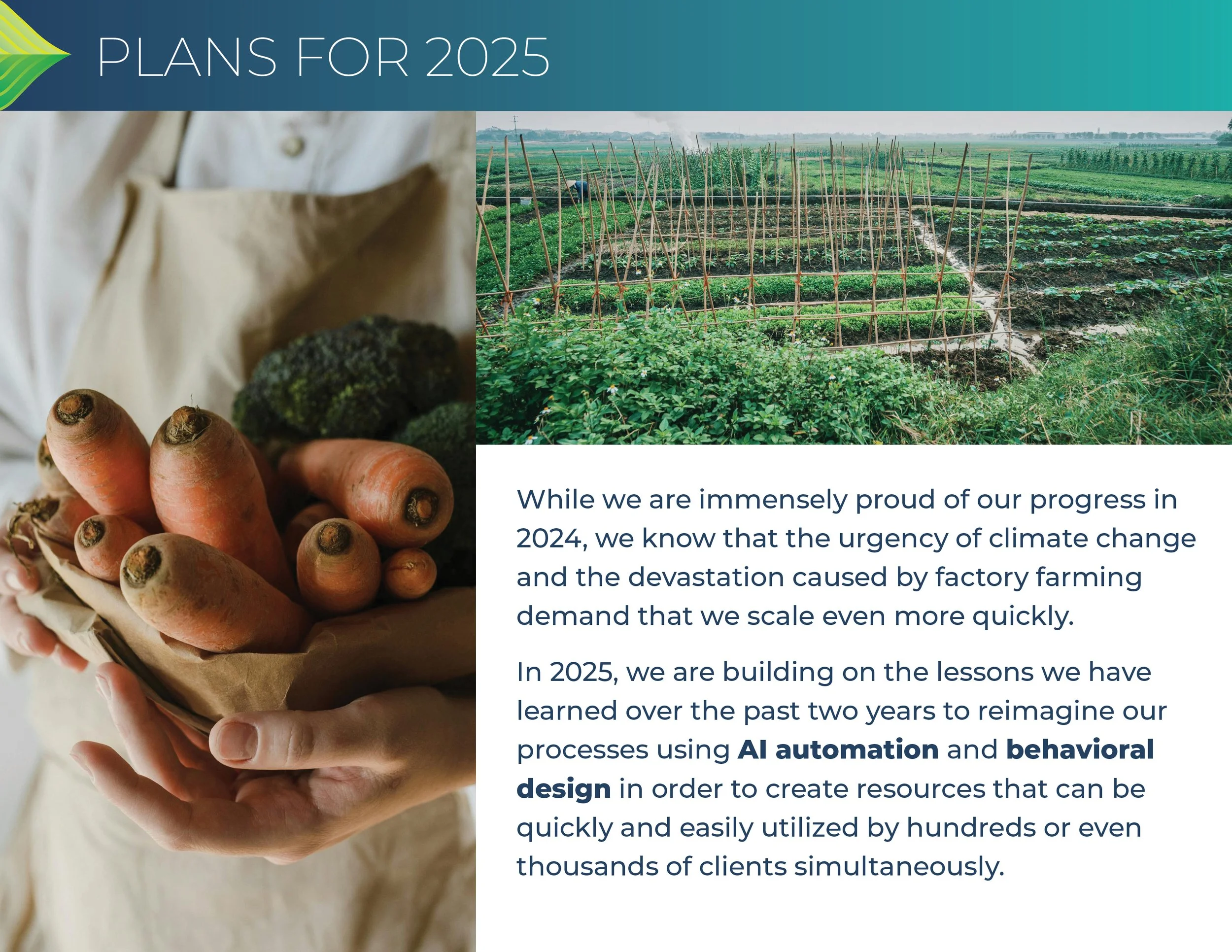Greener By Default 2024 Annual Report Page 6