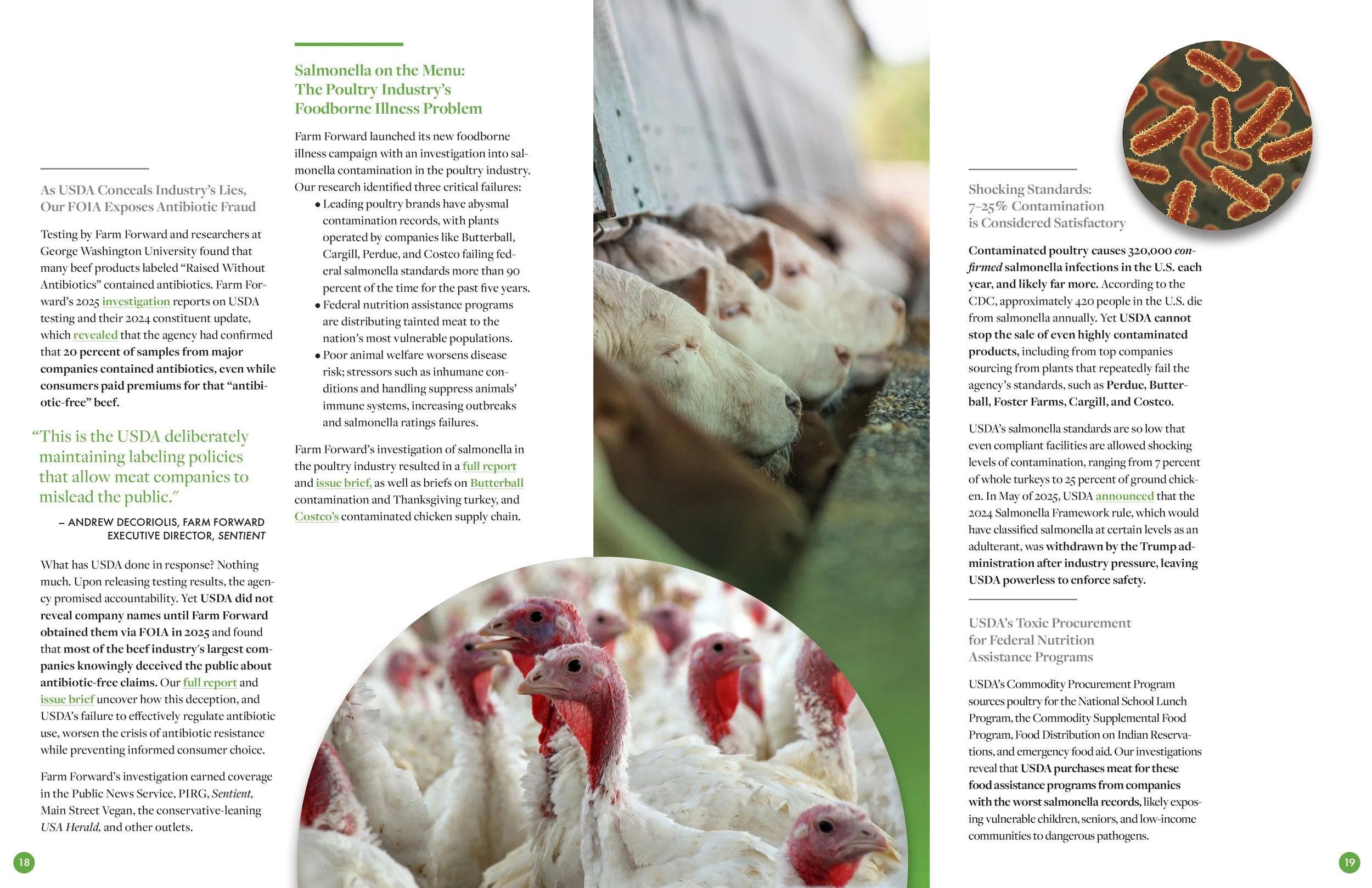 Farm Forward 2025 Annual Report Featured Campaign 3