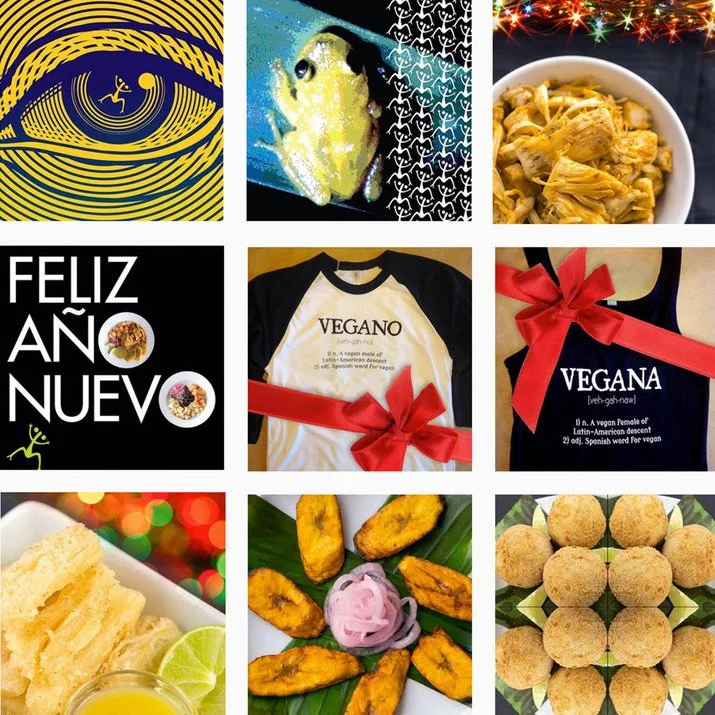 Casa Coqui Vegan Puerto Rican Digital Content Creation