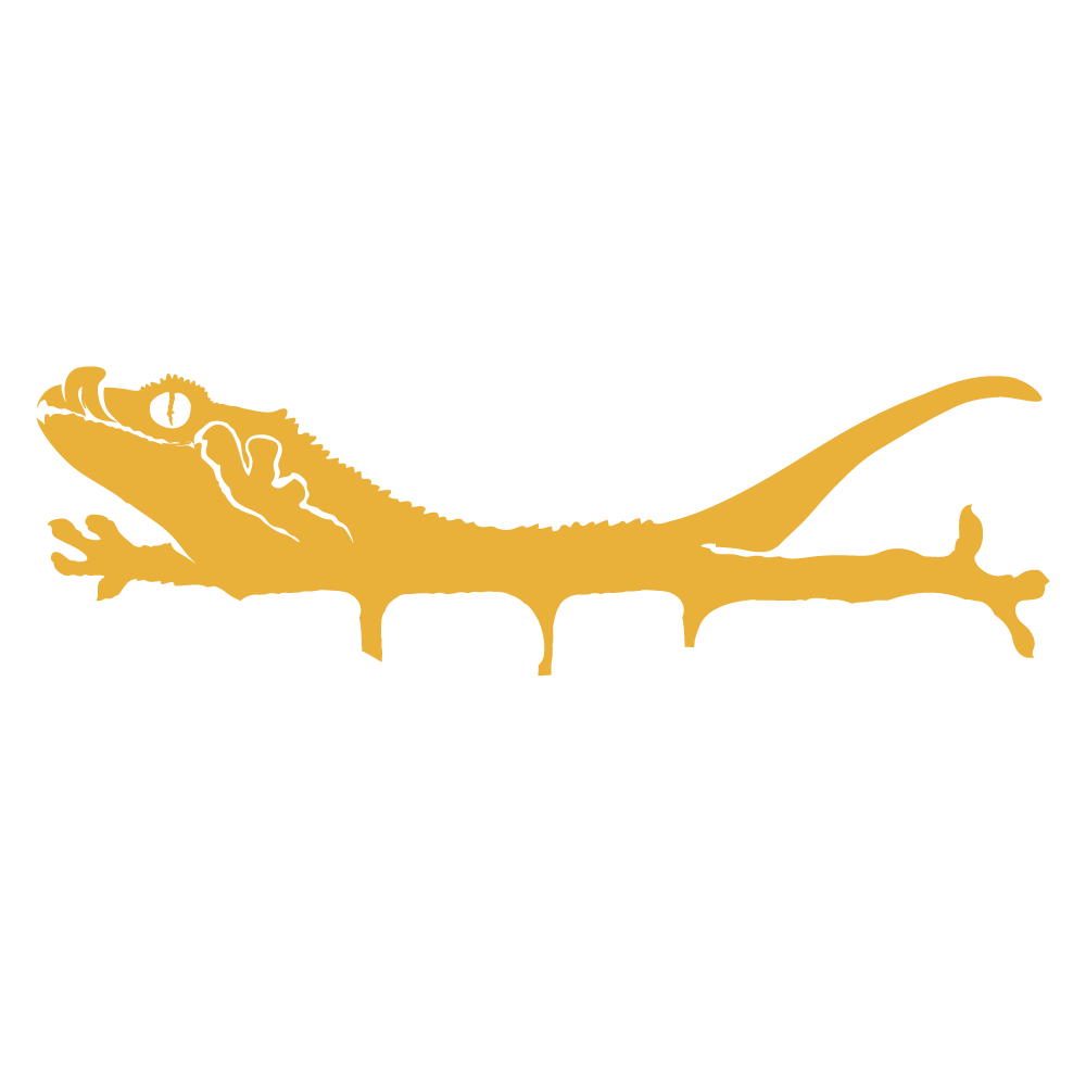 The Gecko Garage