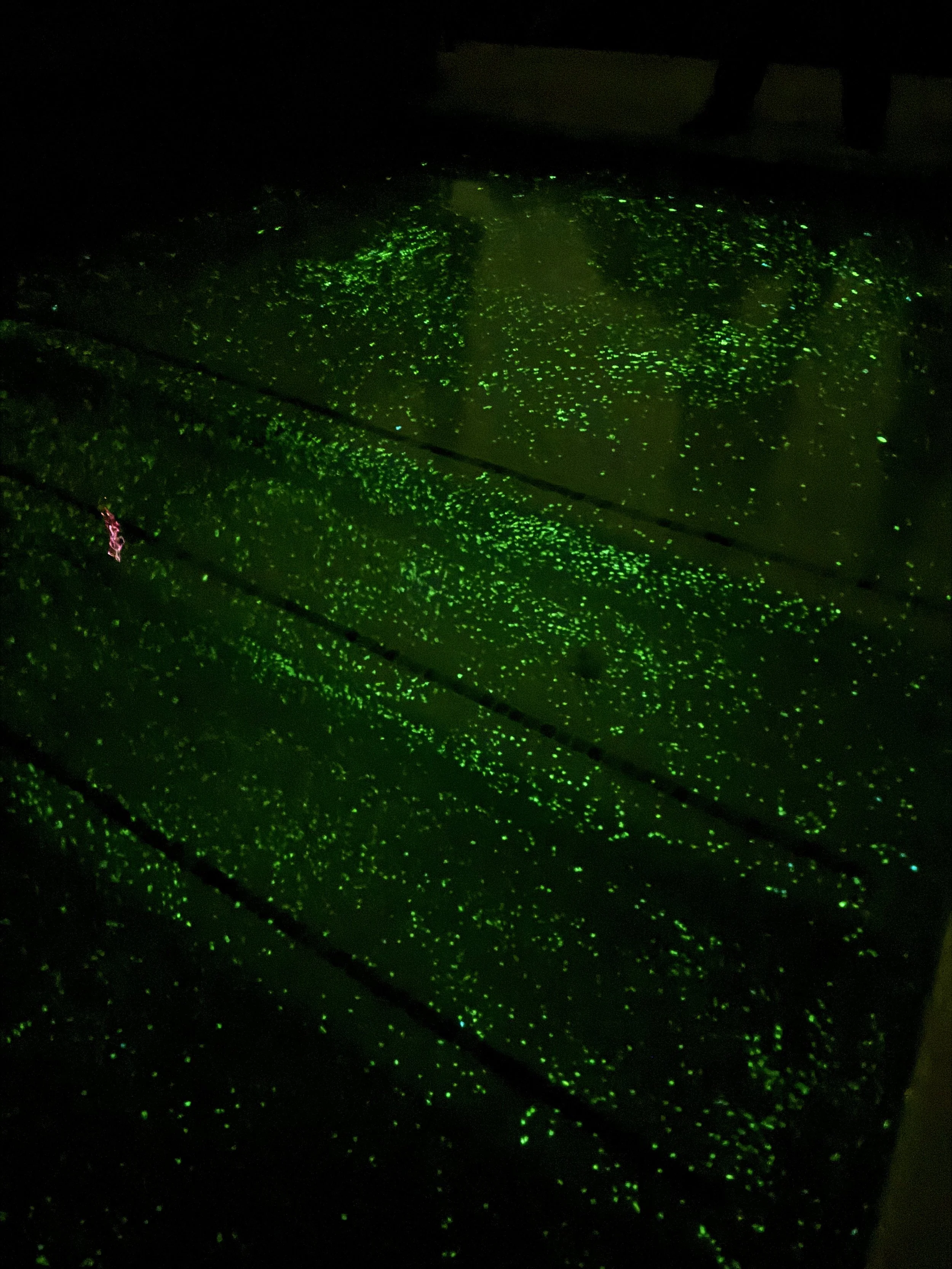 A sink with glowing green glittery particles in water, creating a sparkling effect in the dark.
