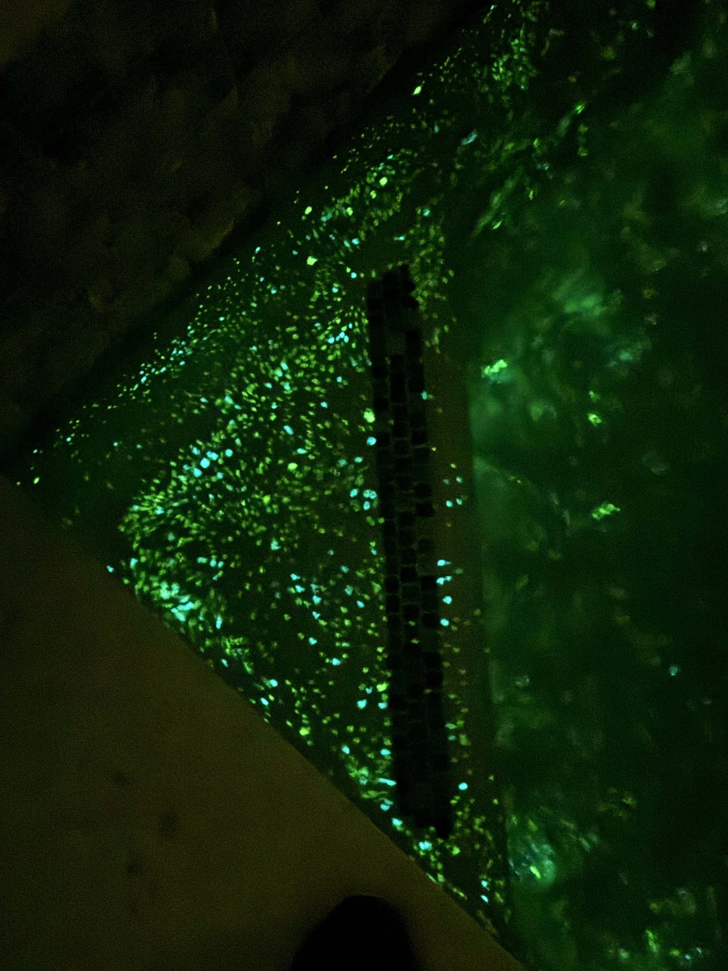 A dark room with a rectangular surface illuminated by green and blue light reflecting off what appears to be crystalline or glass particles.