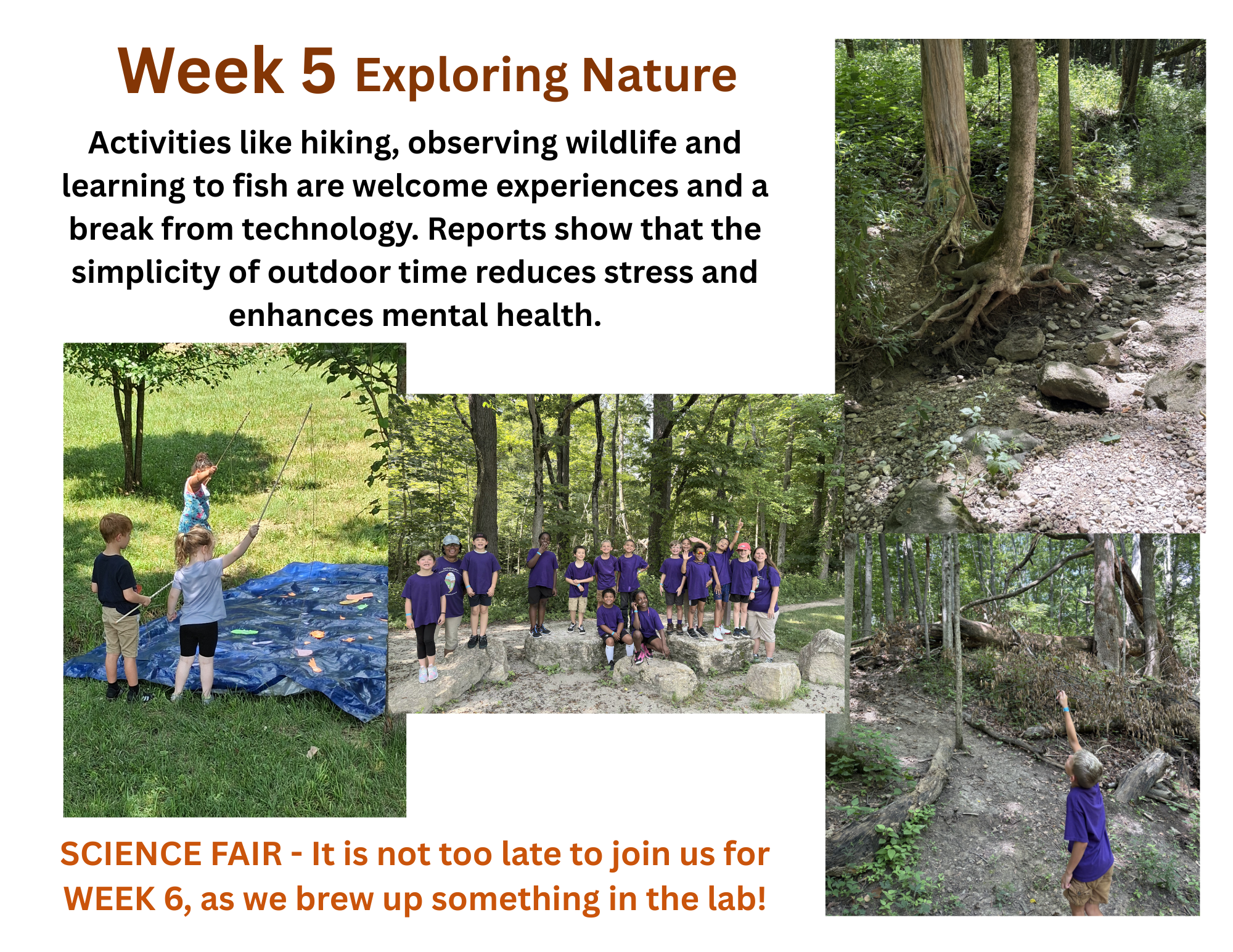 Week 5 Summer Camp.png