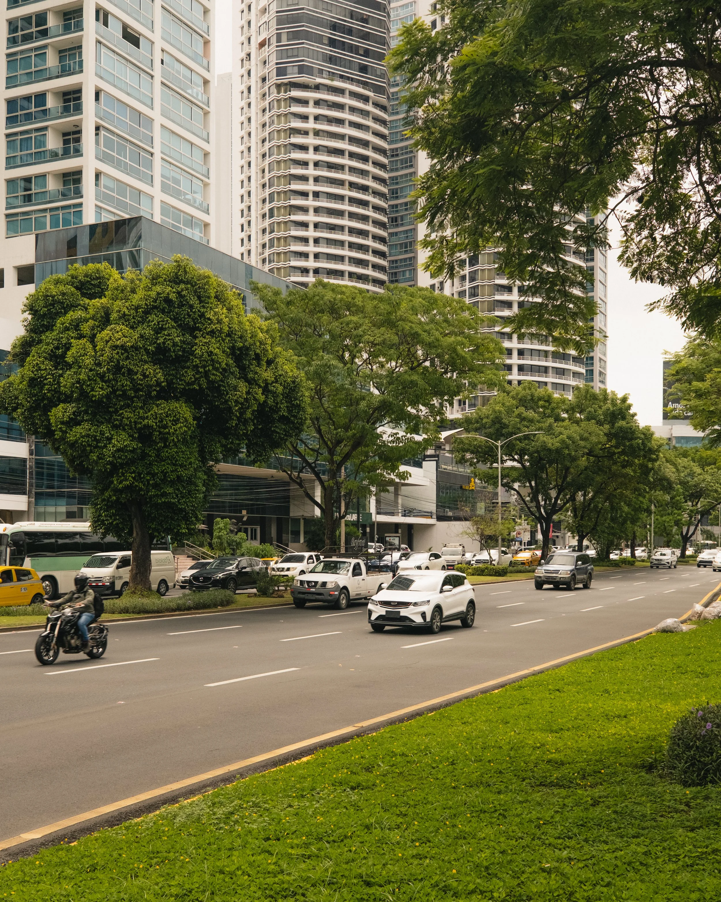 AP Final Edits 2-6.jpg