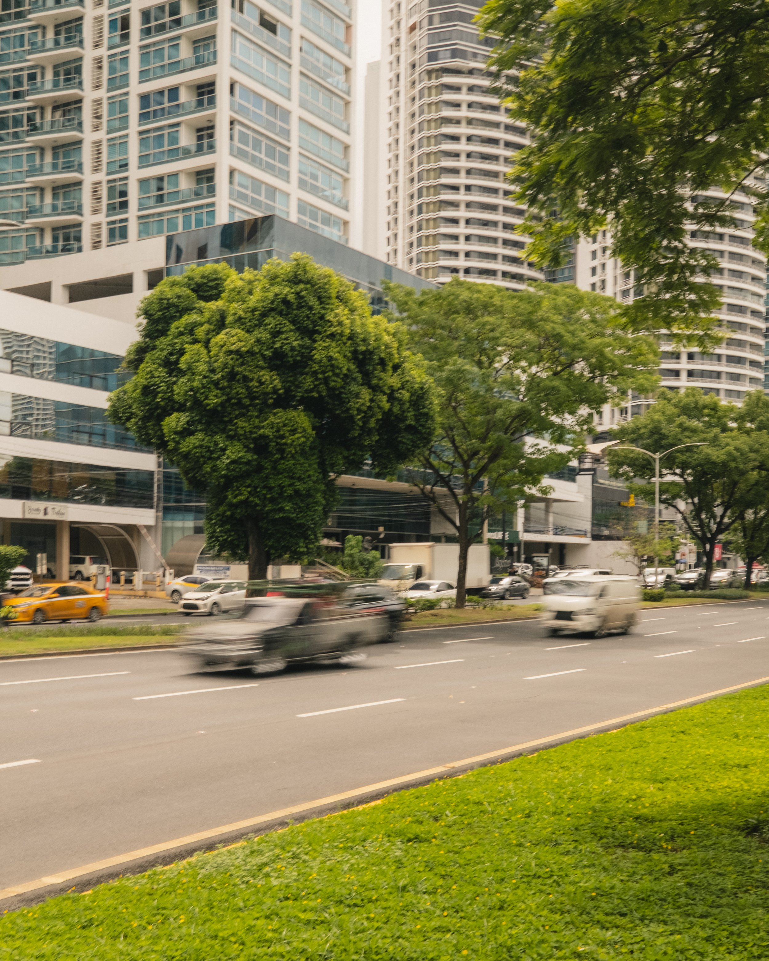 AP Final Edits 2-7.jpg