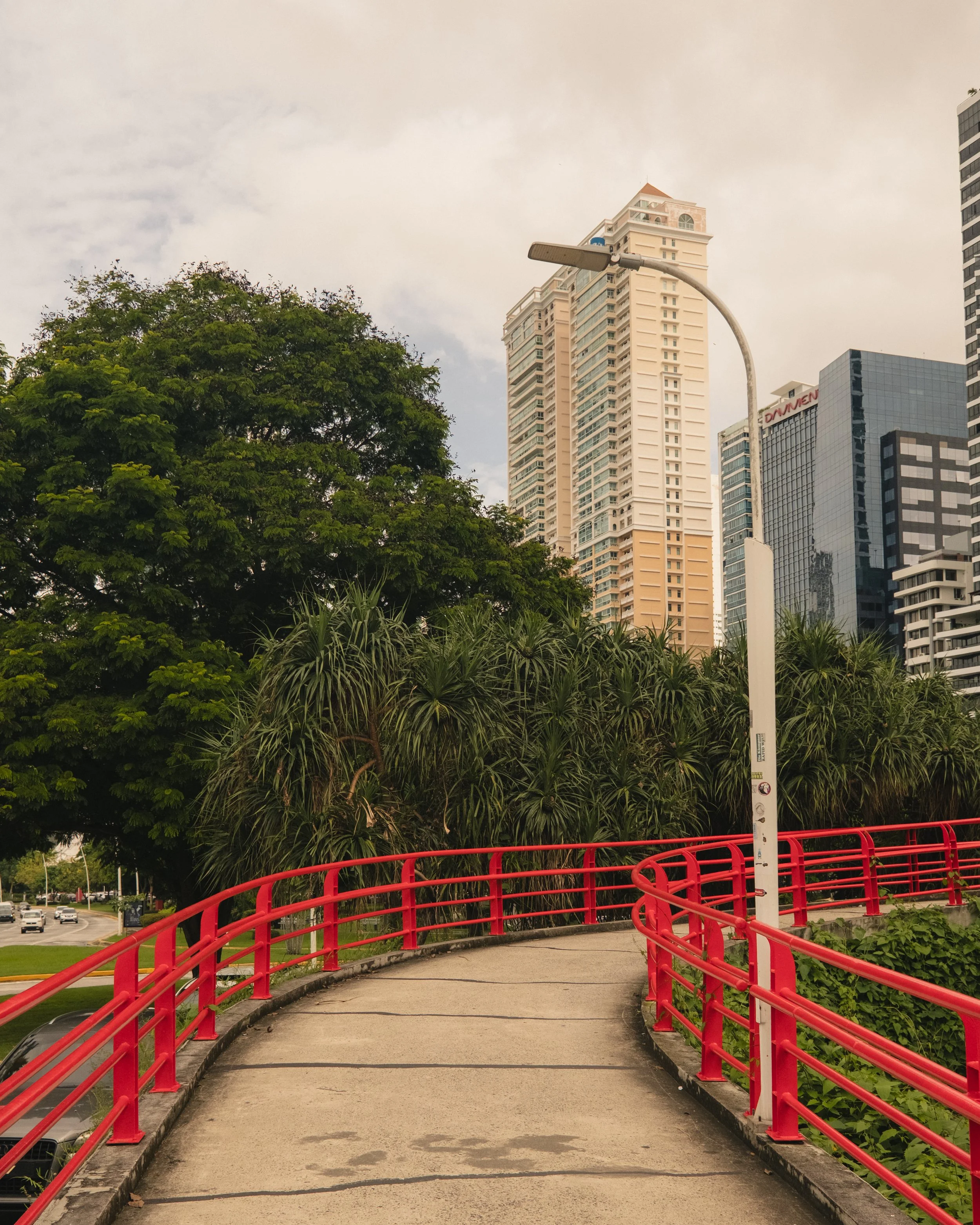 AP Final Edits 2-9.jpg