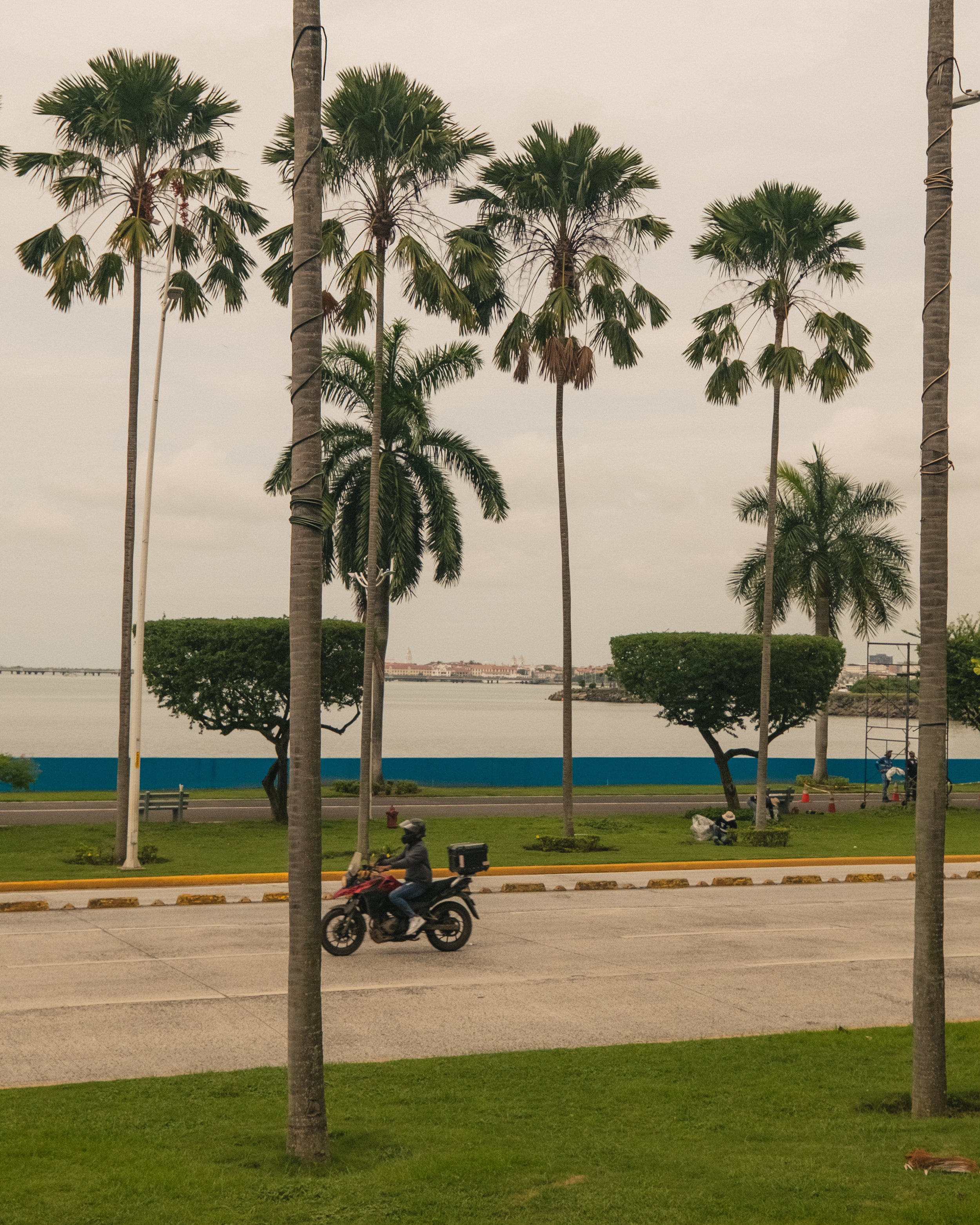 AP Final Edits 2-10.jpg