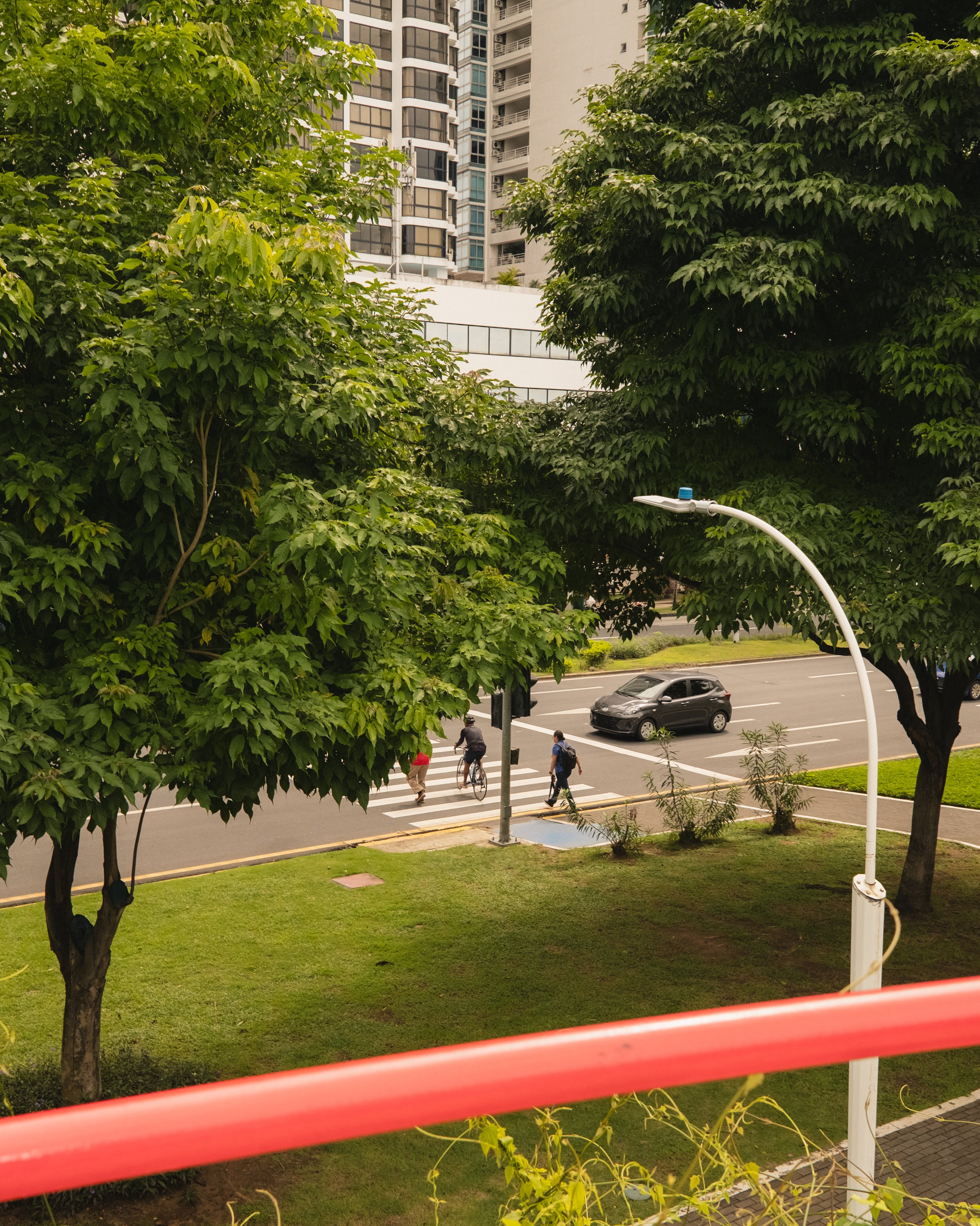 AP Final Edits 2-11.jpg