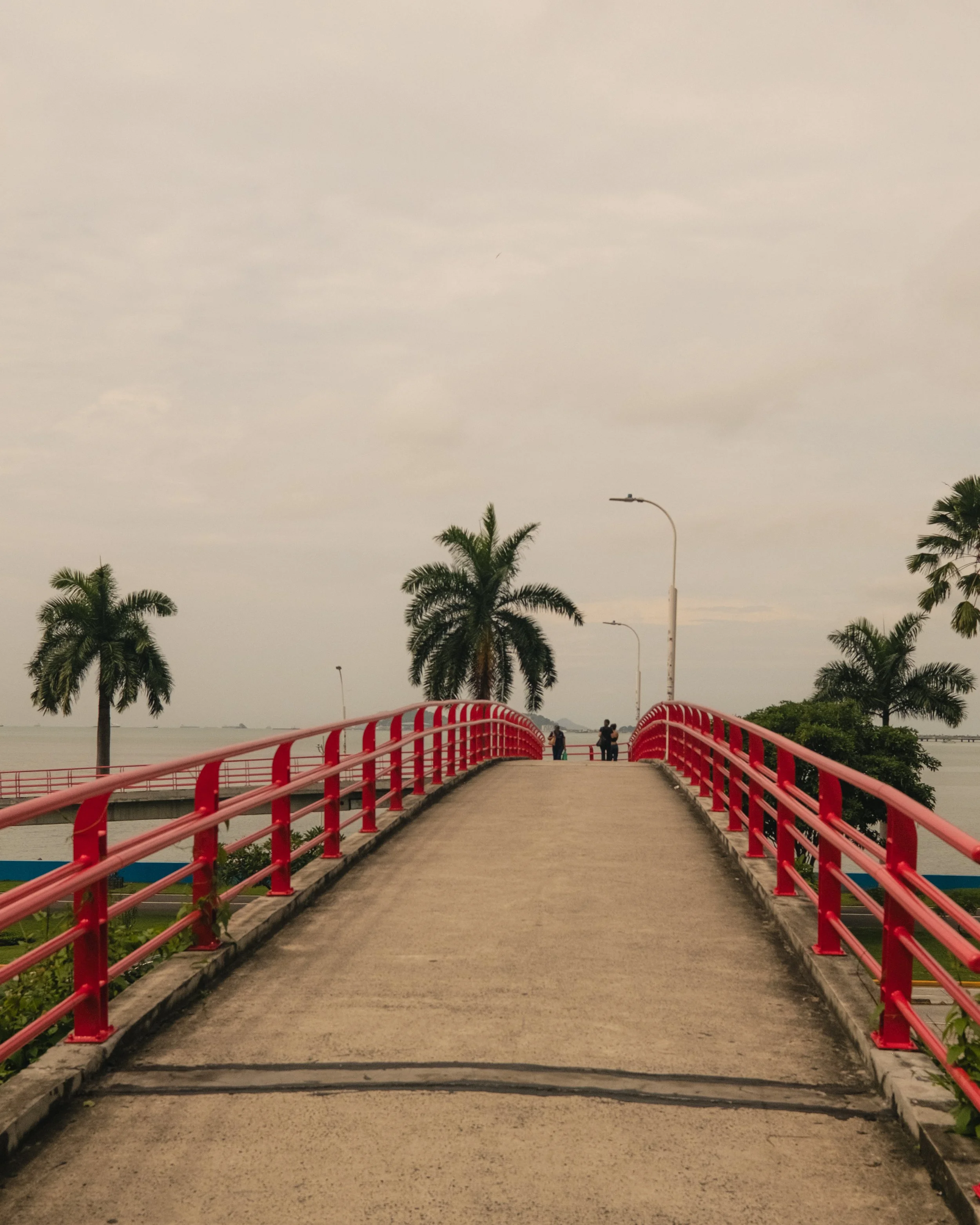 AP Final Edits 2-14.jpg