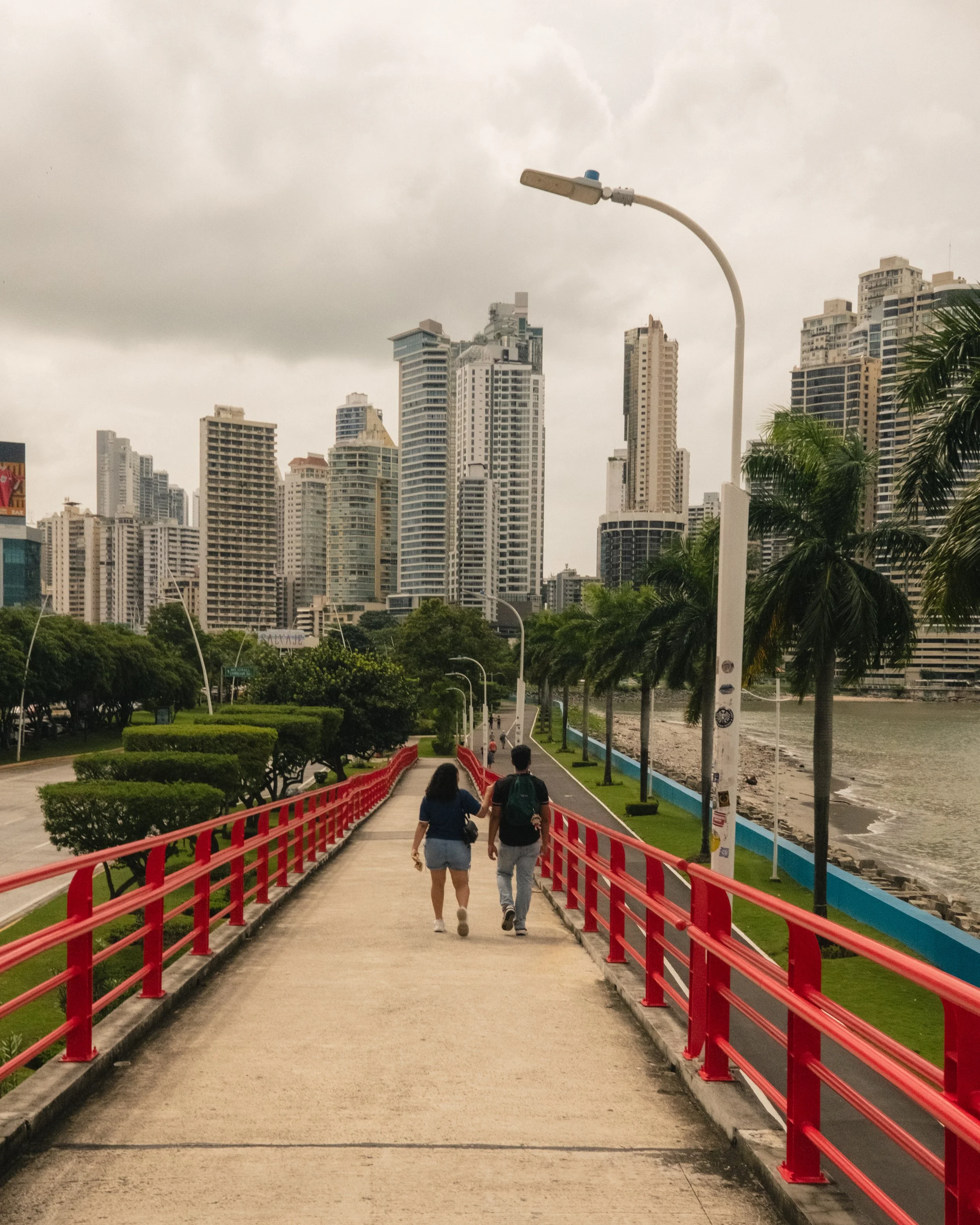 AP Final Edits 2-18.jpg